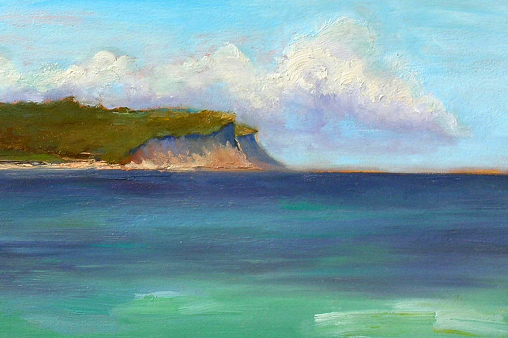 Clay Head Bluffs copy.jpg