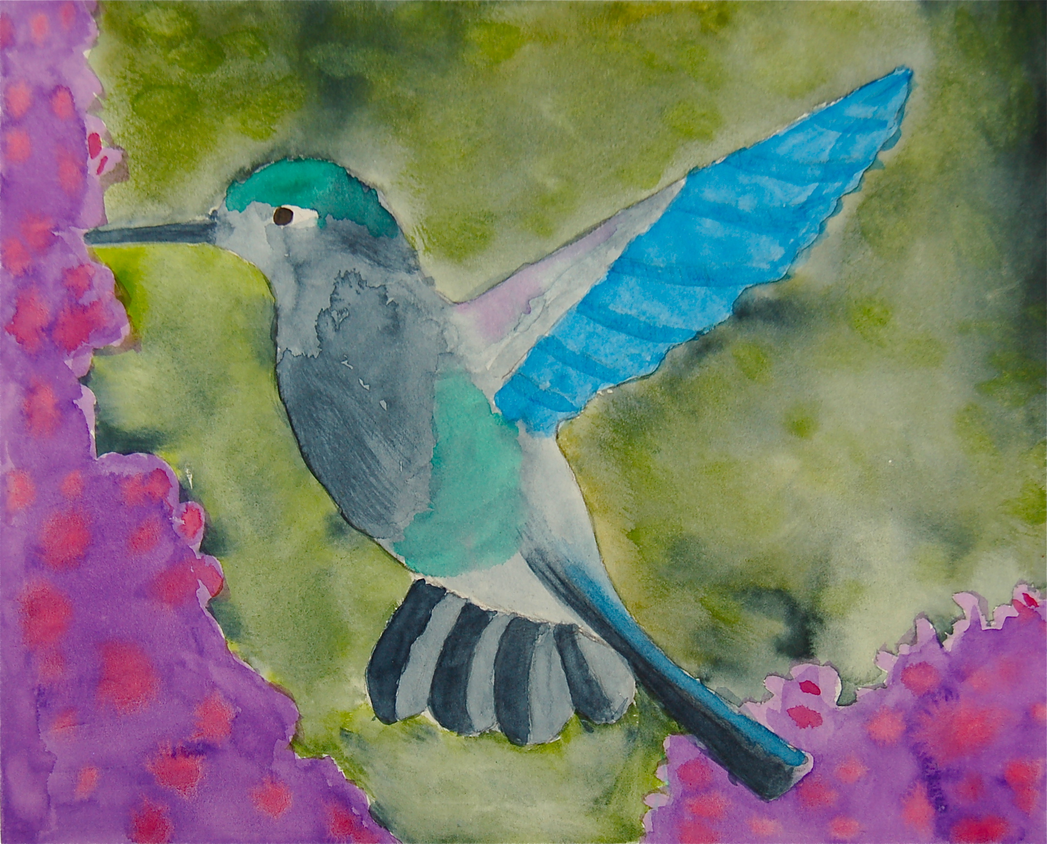 humingbird.JPG