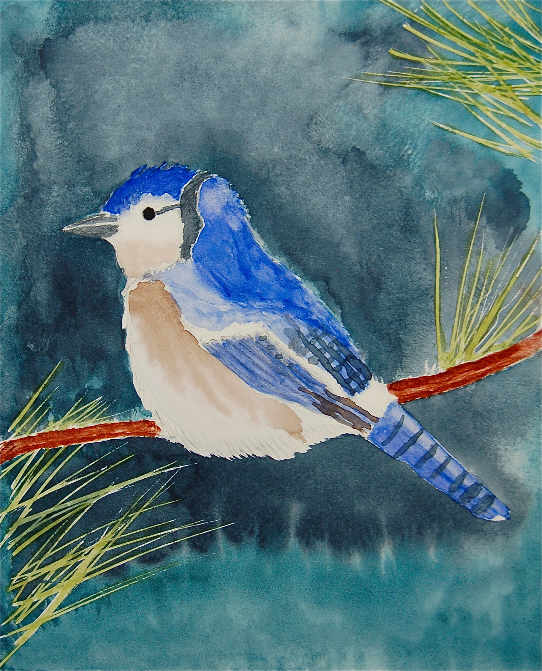 snow bird.JPG