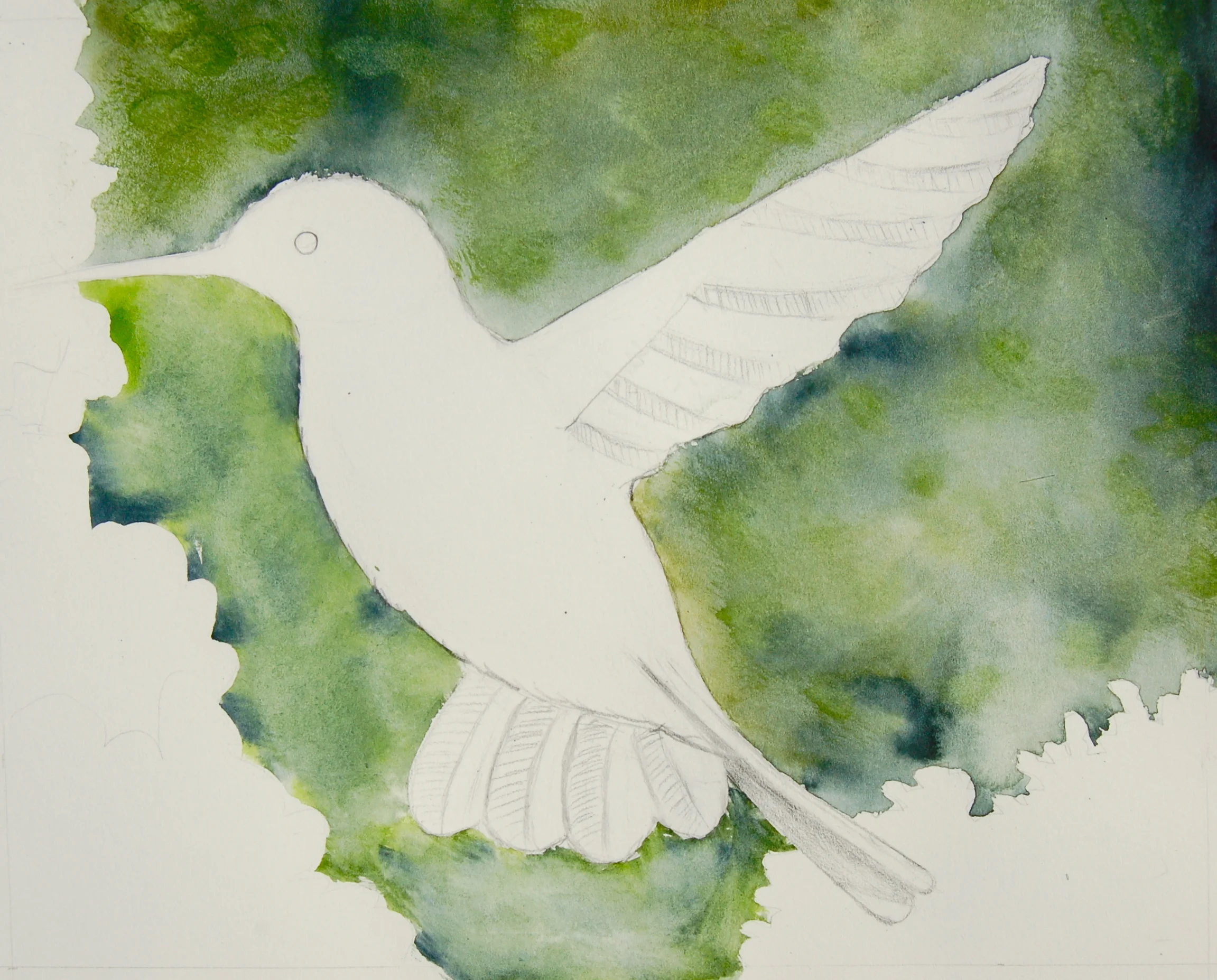 hum bird.JPG