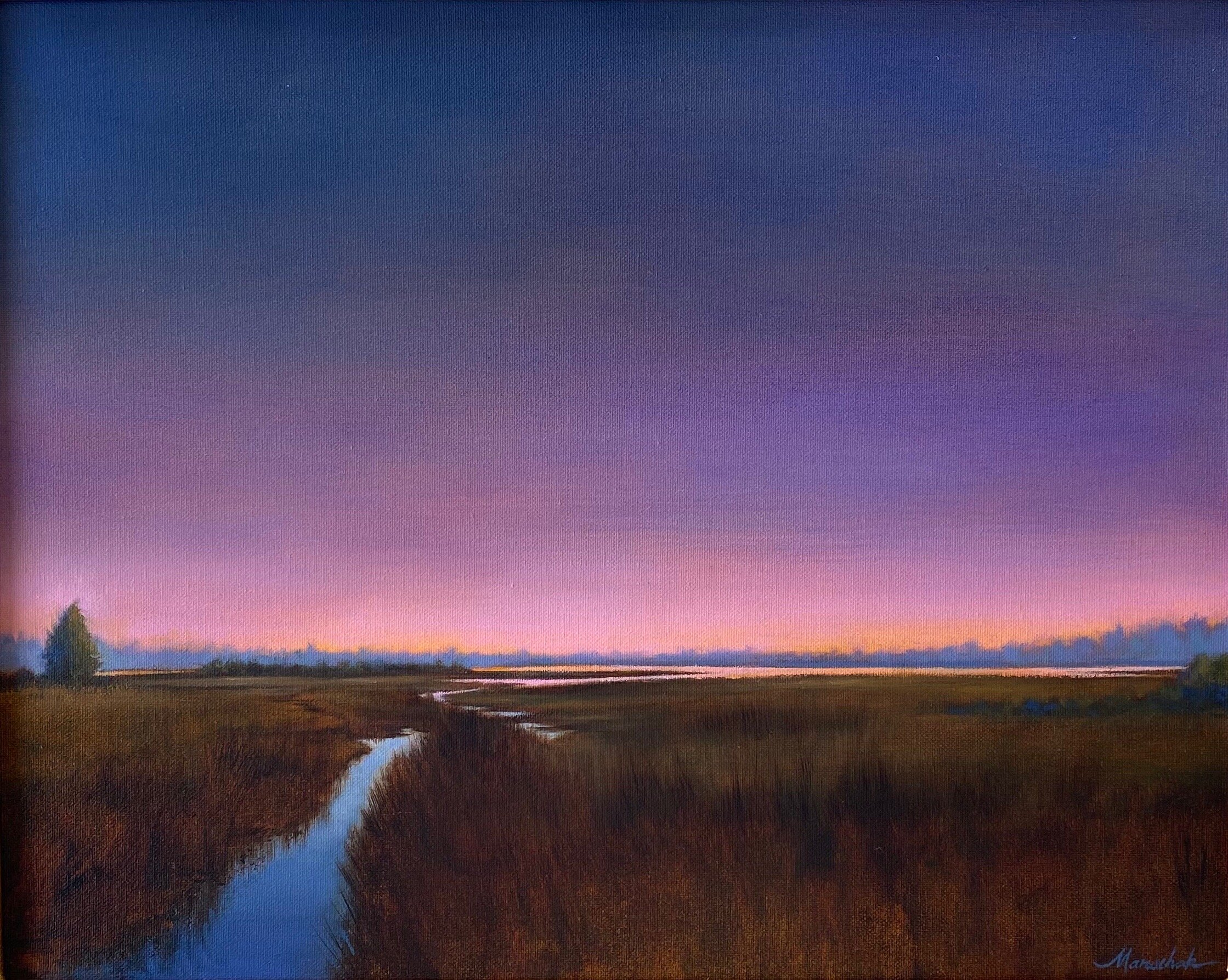 Marsh Twilight