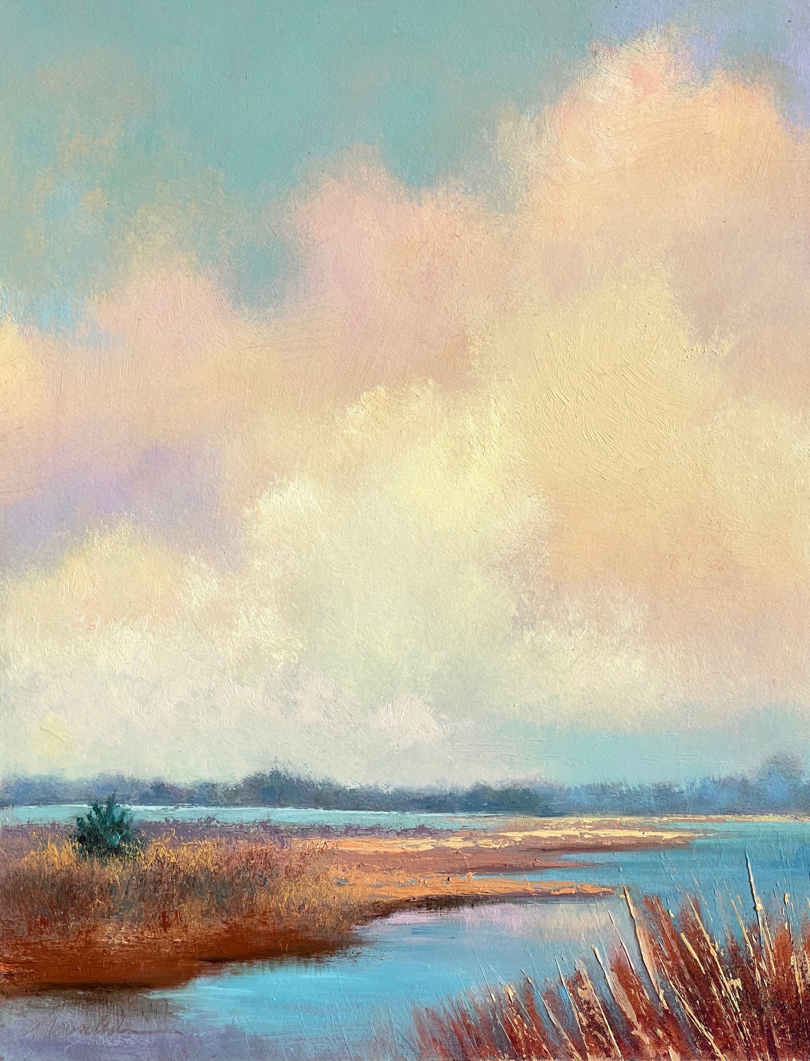 coastal marsh morning