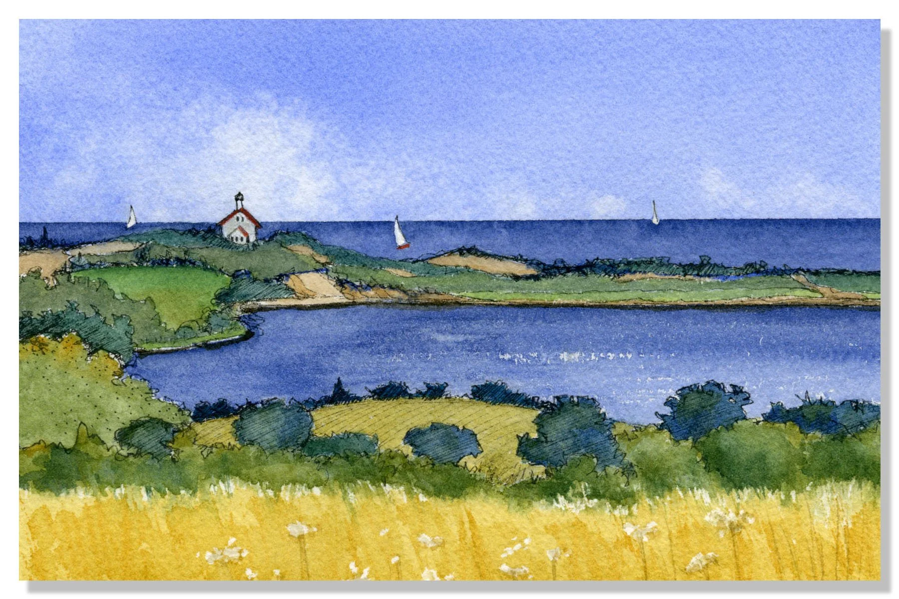 north light vista