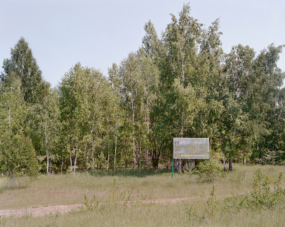 26_forestsign.jpg