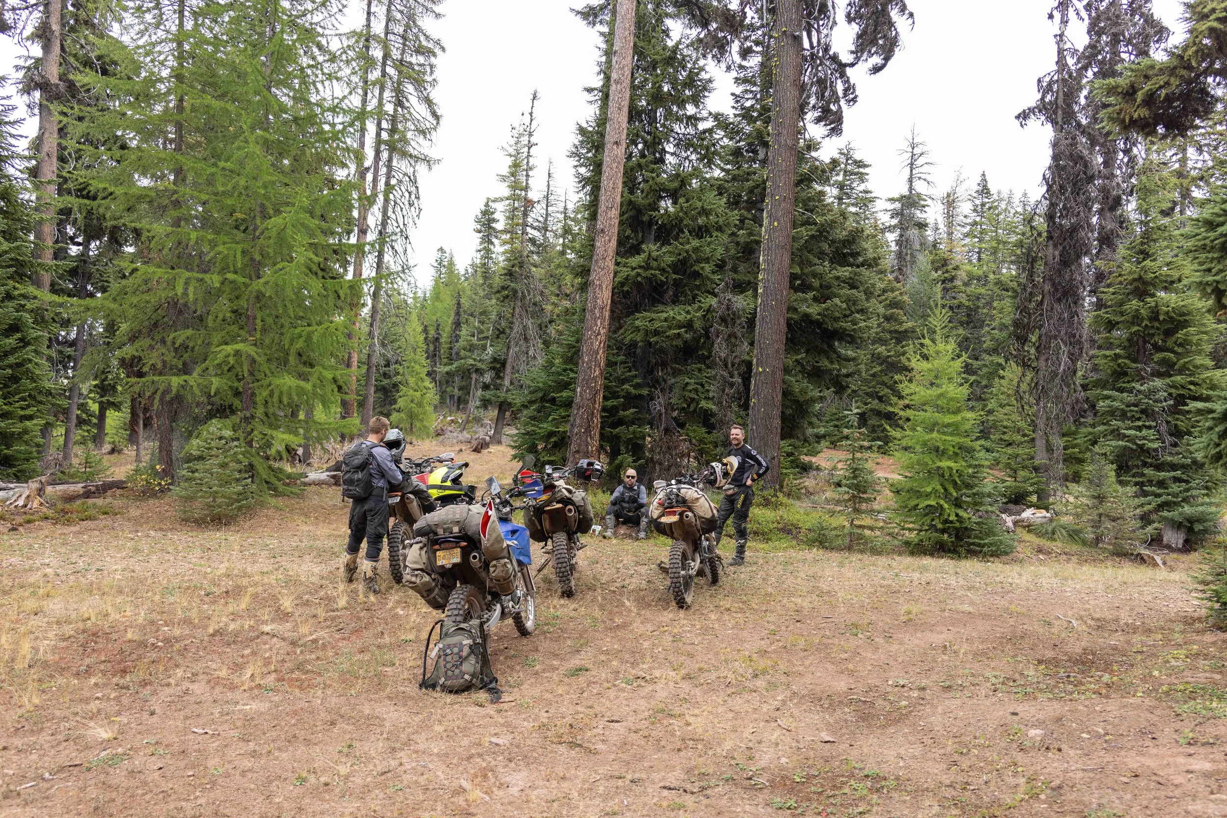 BGMC_2025_SR_36.jpg
