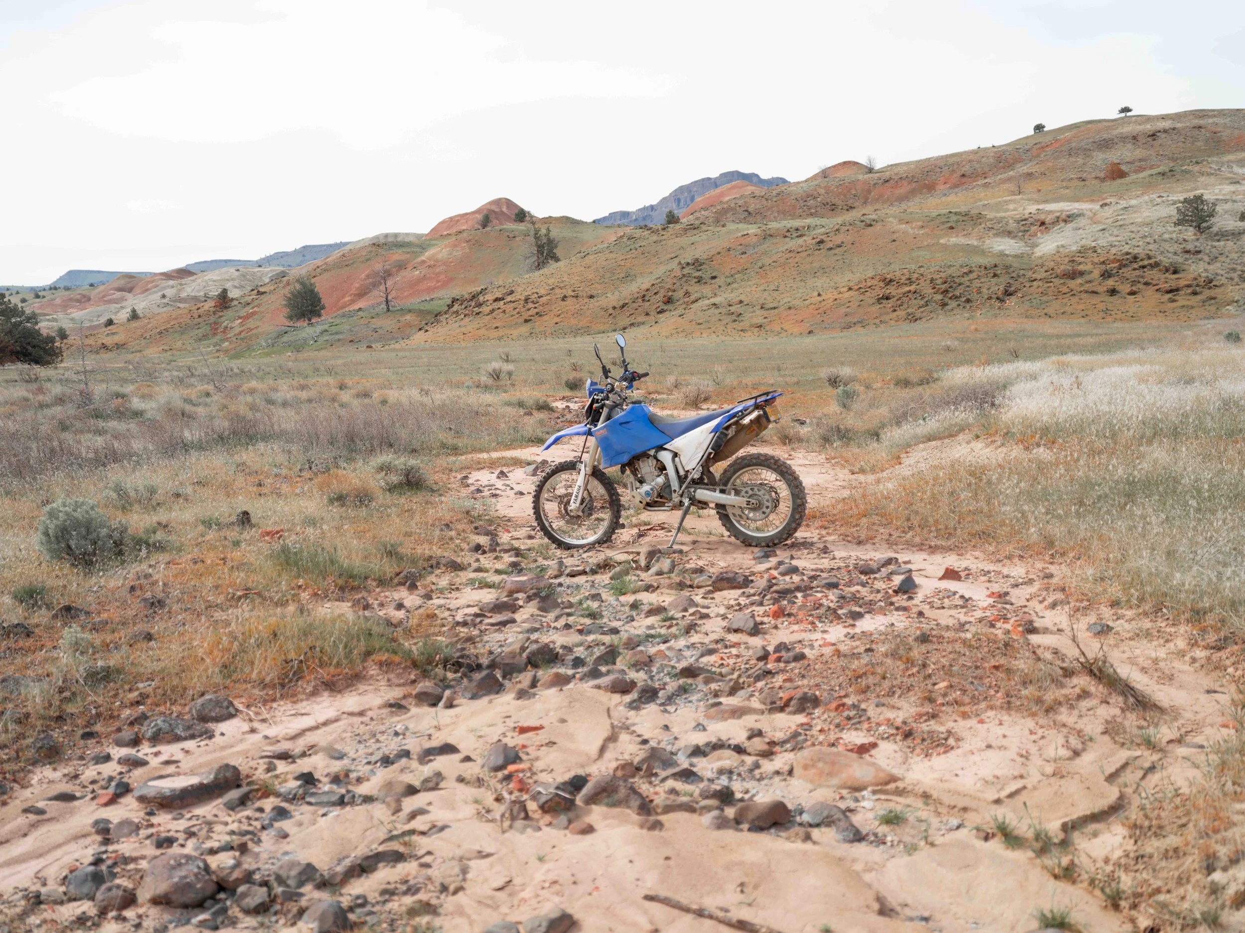 Mosko_Arroyo_Scout_0024.jpg