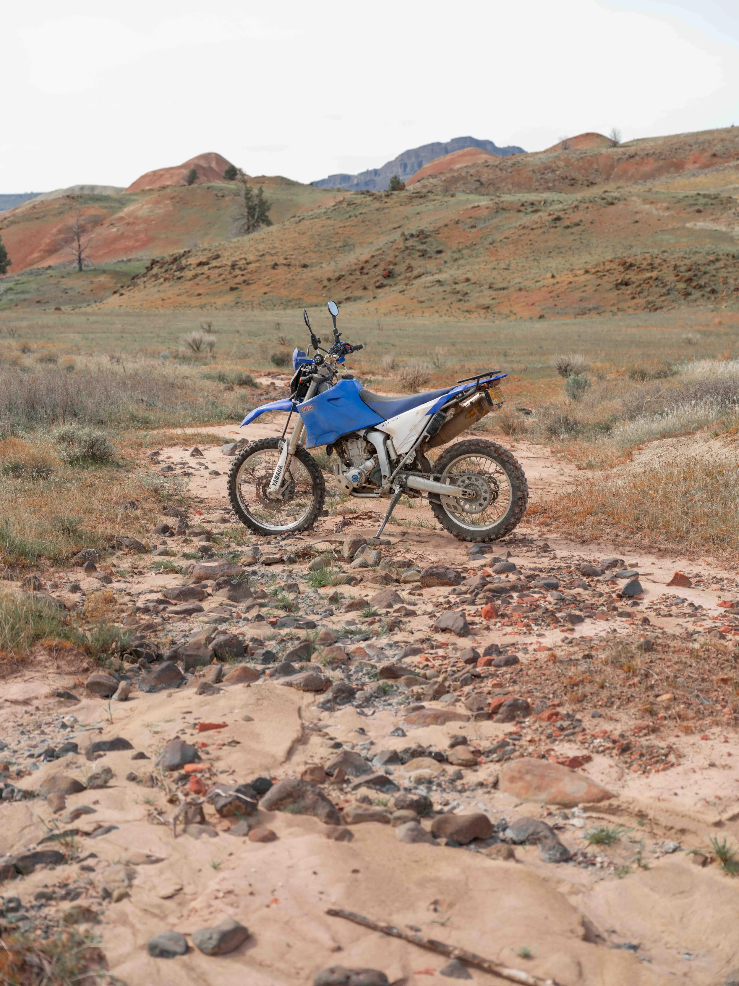 Mosko_Arroyo_Scout_0023.jpg