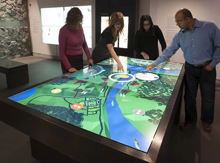 ROM2014_13786_14 copy.jpg