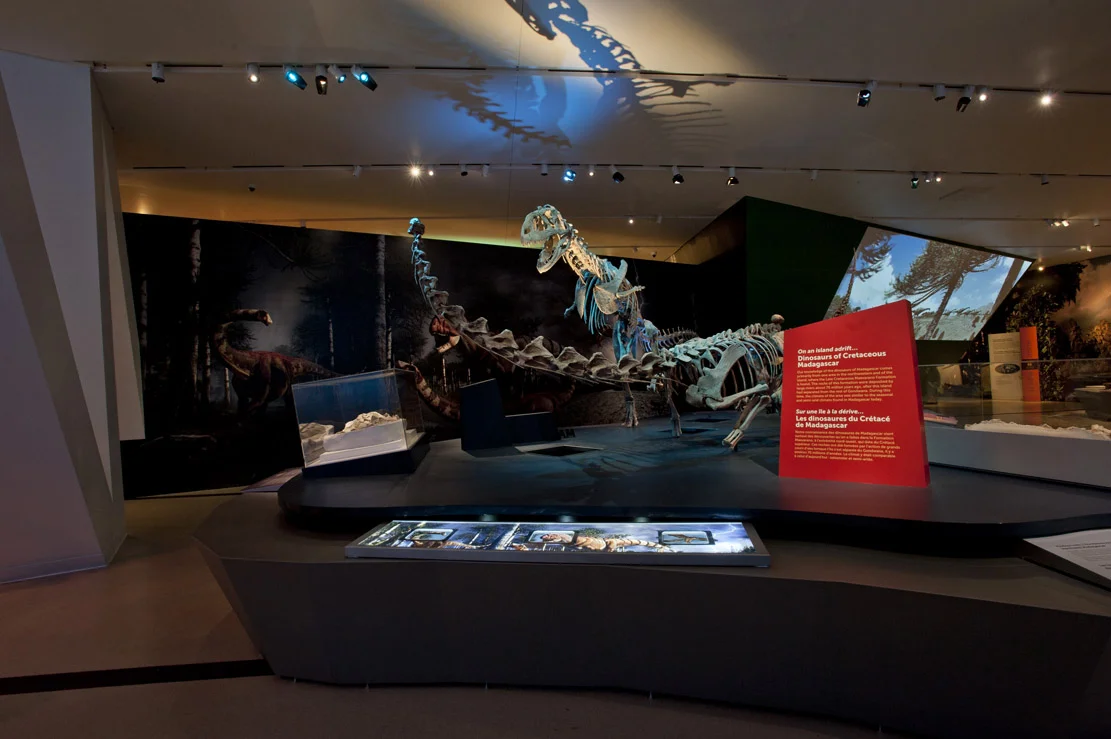   IMAX PROJECTION.&nbsp; Animated herd of walking dinosaurs, with dramatic audio sound effects (as part the Royal Ontario Museum’s  Ultimate Dinosaurs: Giants from Gondwana   exhibit).    Footage courtesy of Les Productions Dinosaures 3D Inc.     