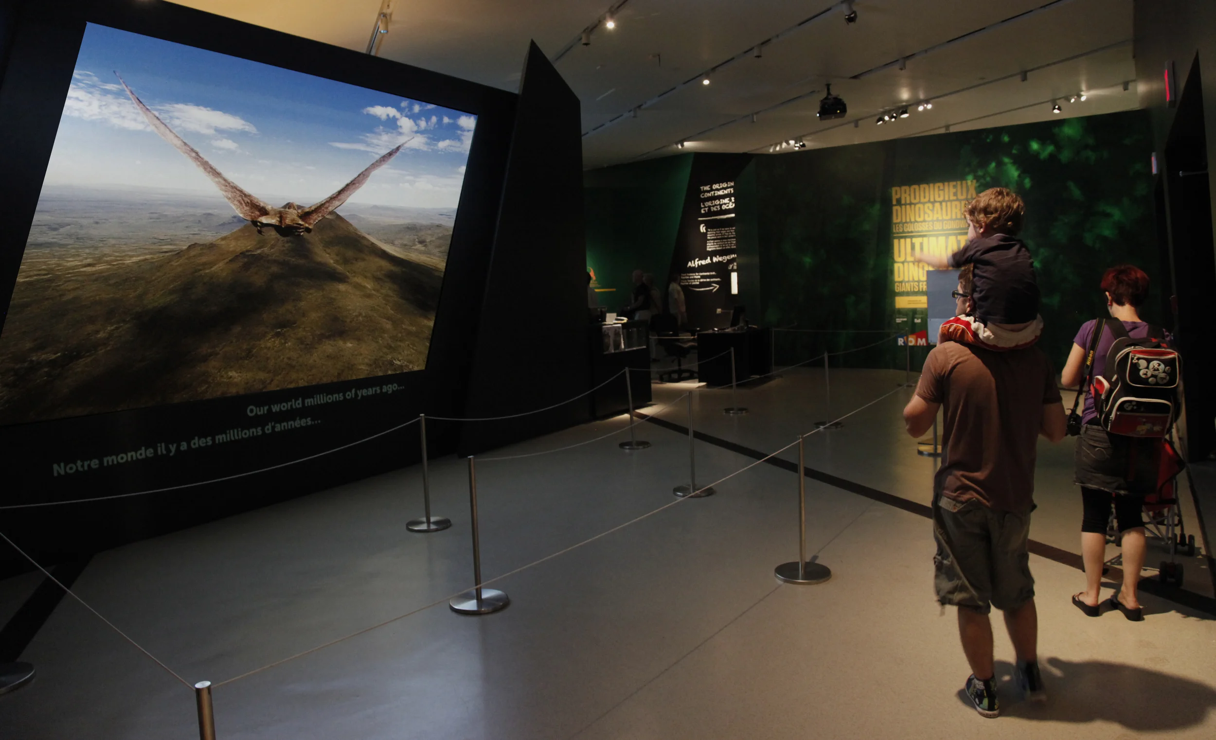  LARGE-SCALE IMAX VIDEO . Video&nbsp;installation in&nbsp;the Royal Ontario Museum’s&nbsp; Ultimate Dinosaurs: Giants from Gondwana &nbsp;exhibit   Footage courtesy&nbsp;Les Productions Dinosaures 3D Inc.     