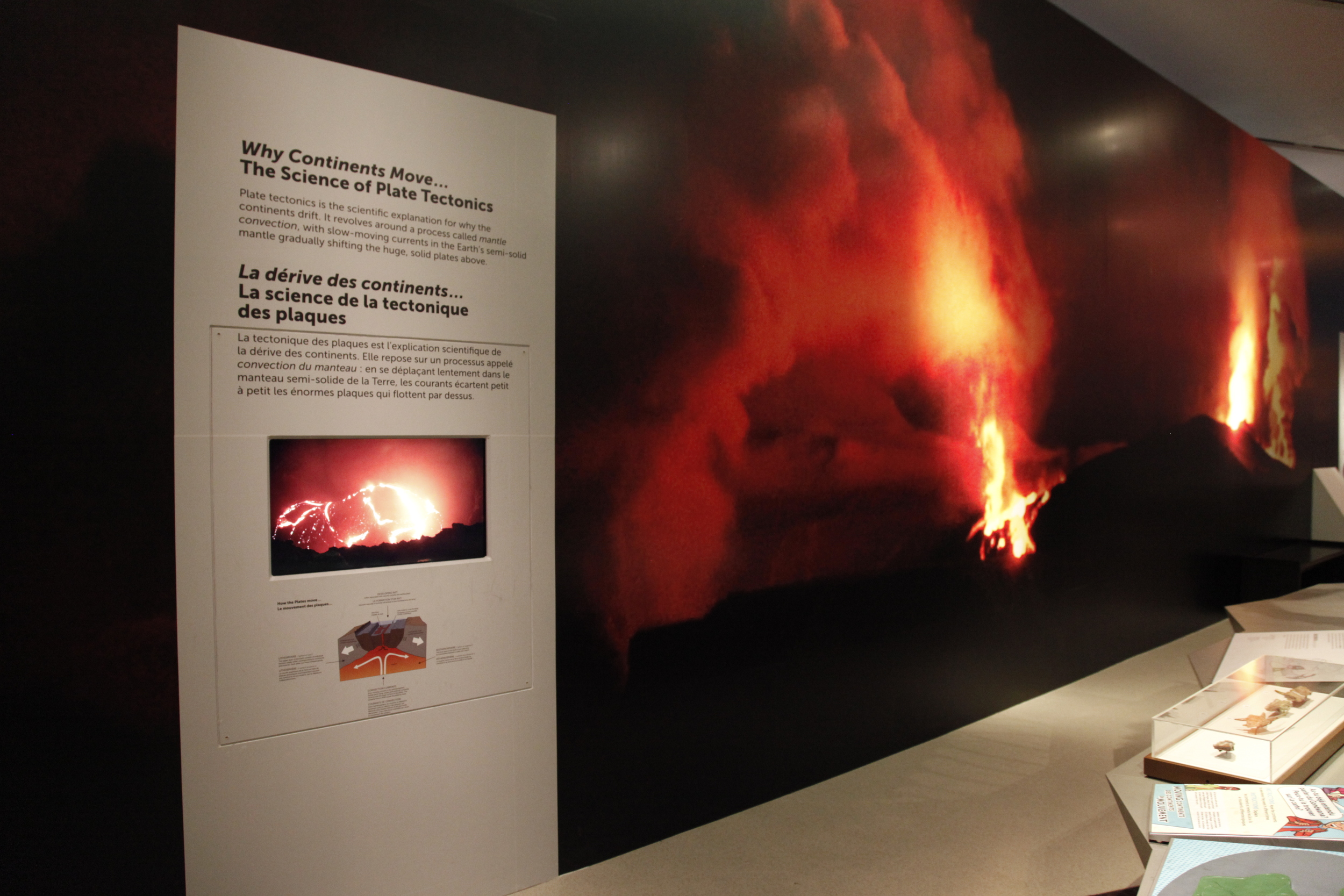  Media installation evoking the dramatic wondering and exploring the science behind plate tectonics (&nbsp; as part the Royal Ontario Museum’s&nbsp;   Ultimate Dinosaurs: Giants from Gondwana   &nbsp;exhibit).  