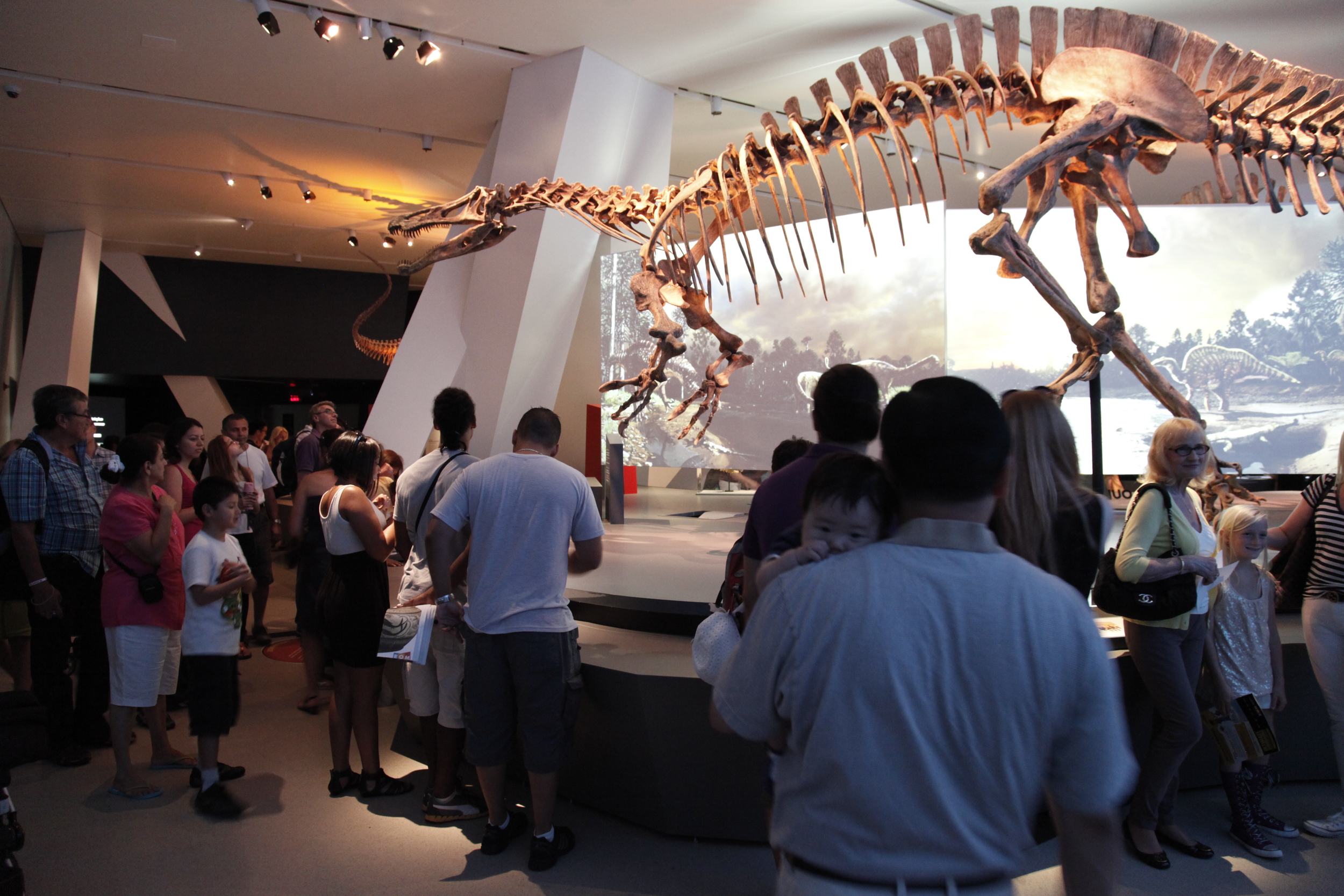  Environmental video projections displayed on screens mounted in and among the dinosaurs of Africa &amp; Madagascar (   
  
 
  
    
  
 0 
 false 
 
 
 18 pt 
 18 pt 
 0 
 0 
 
 false 
 false 
 false 
 
  
  
  
  
 
  
    
  
  
    
 
 /* Style 