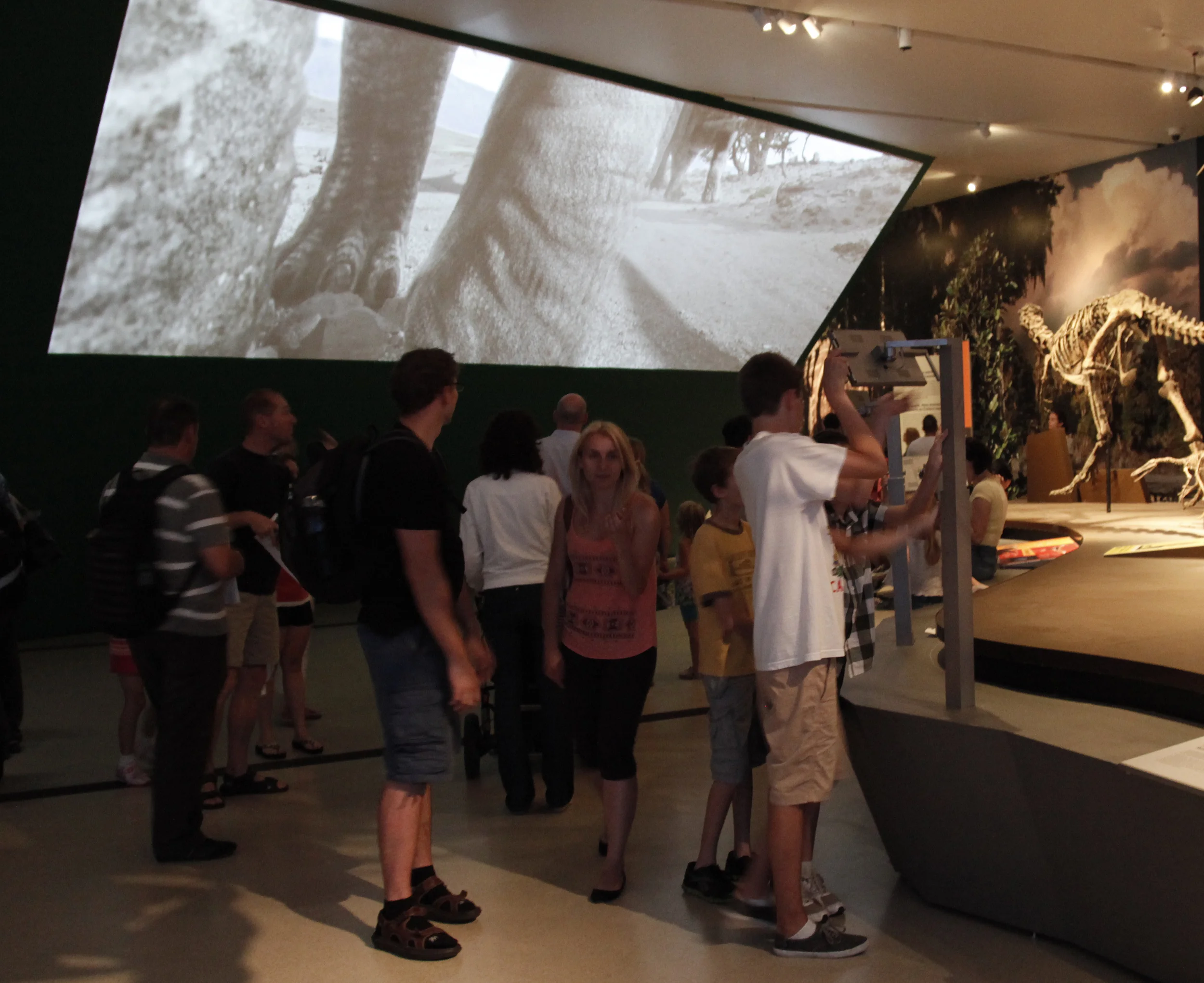   IMAX PROJECTION.&nbsp; Animated herd of walking dinosaurs, with dramatic audio sound effects (as part the Royal Ontario Museum’s&nbsp; Ultimate Dinosaurs: Giants from Gondwana &nbsp;exhibit).   Footage courtesy of Les Productions Dinosaures 3D Inc.