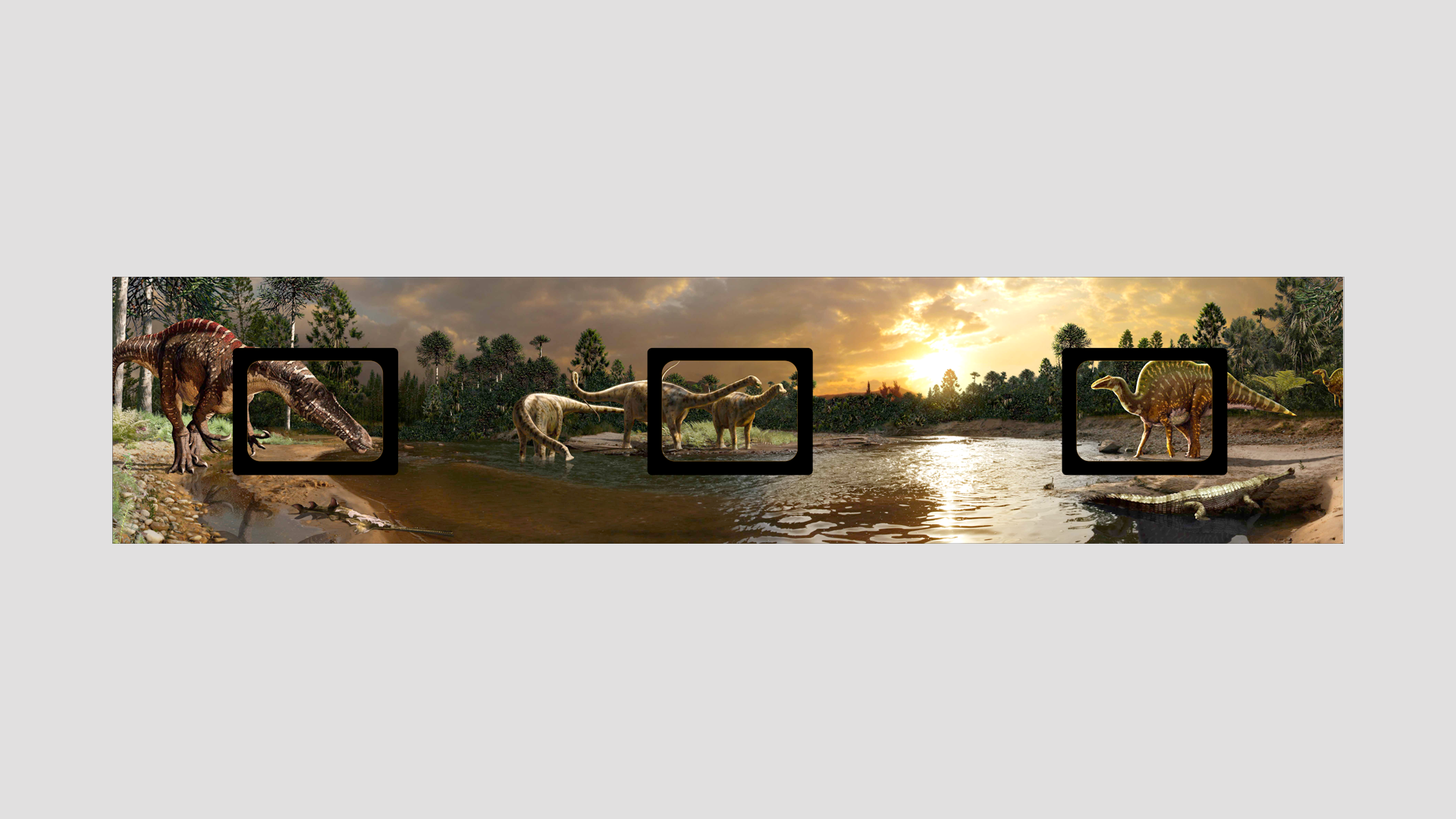 lightbox 2.png