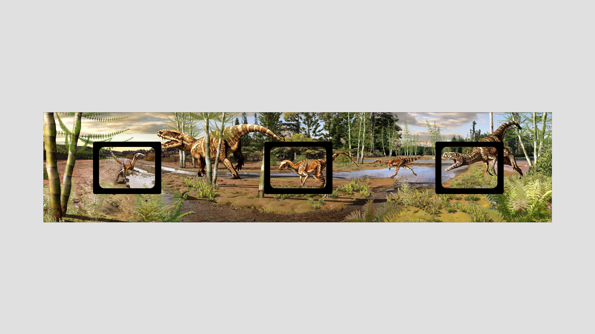 lightbox 3.png