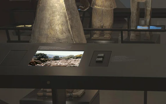 TW doc in gallery2.jpg