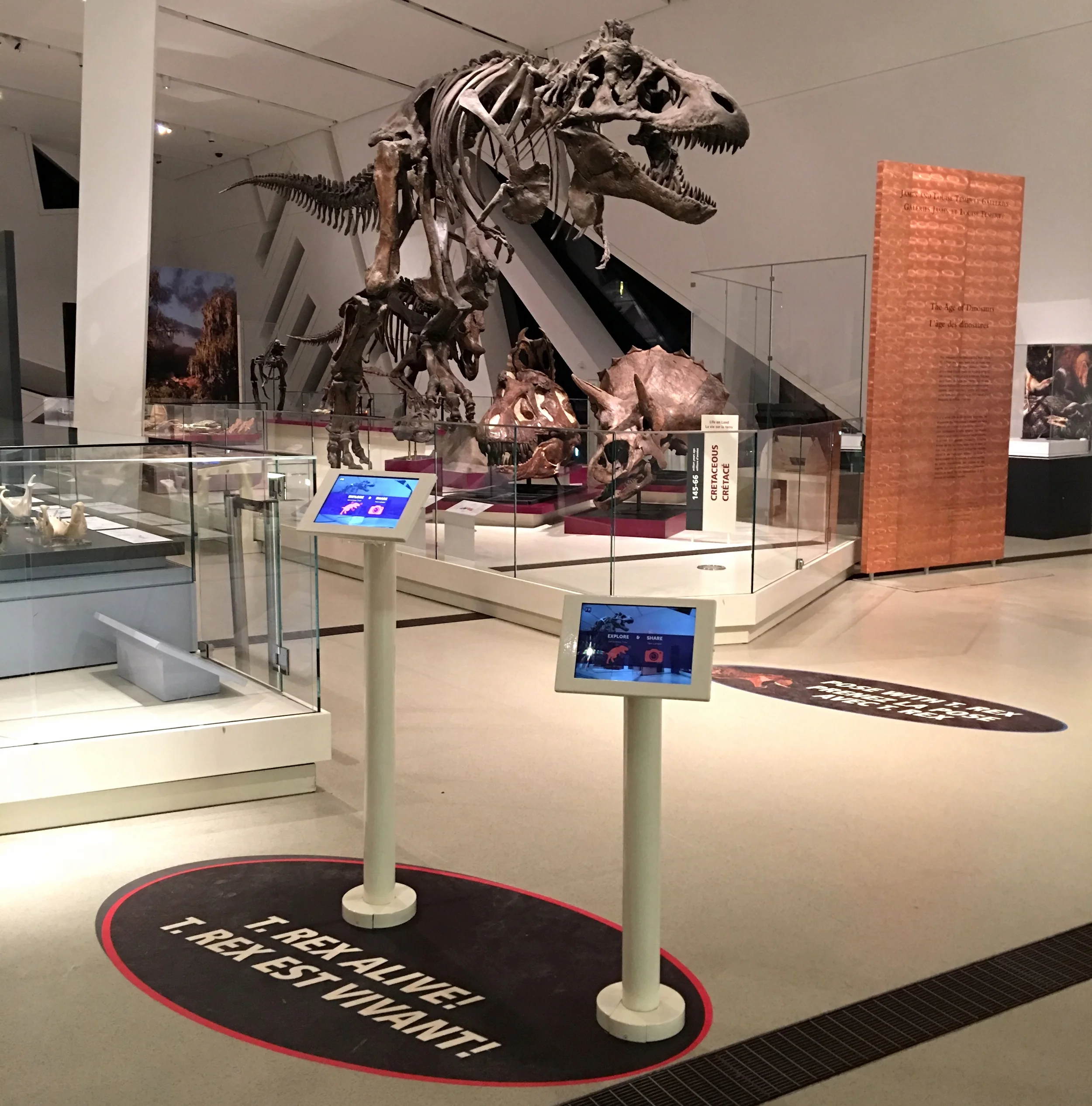 2016-03-11 20.47.11.jpg