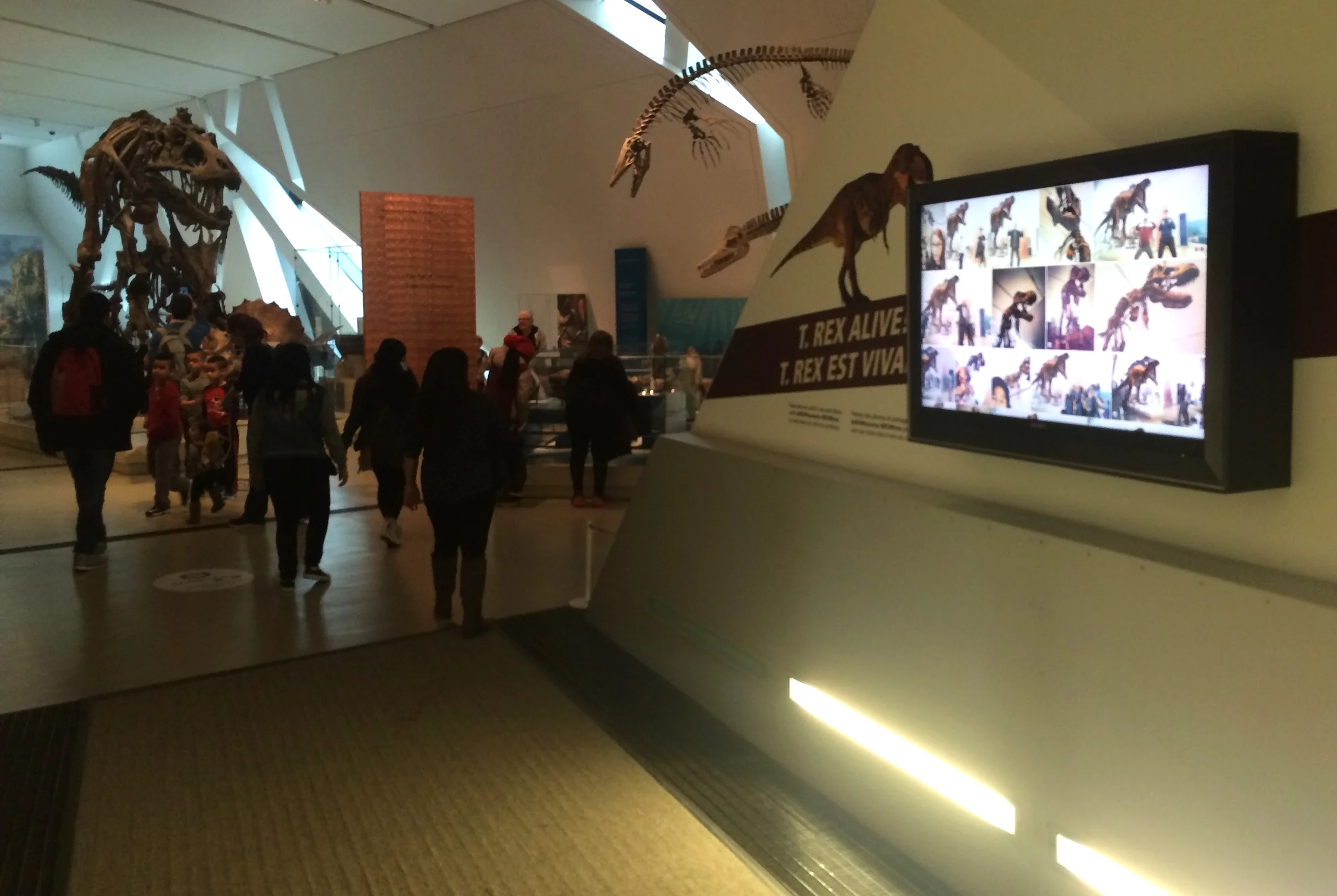 2016-03-14 16.04.57.jpg