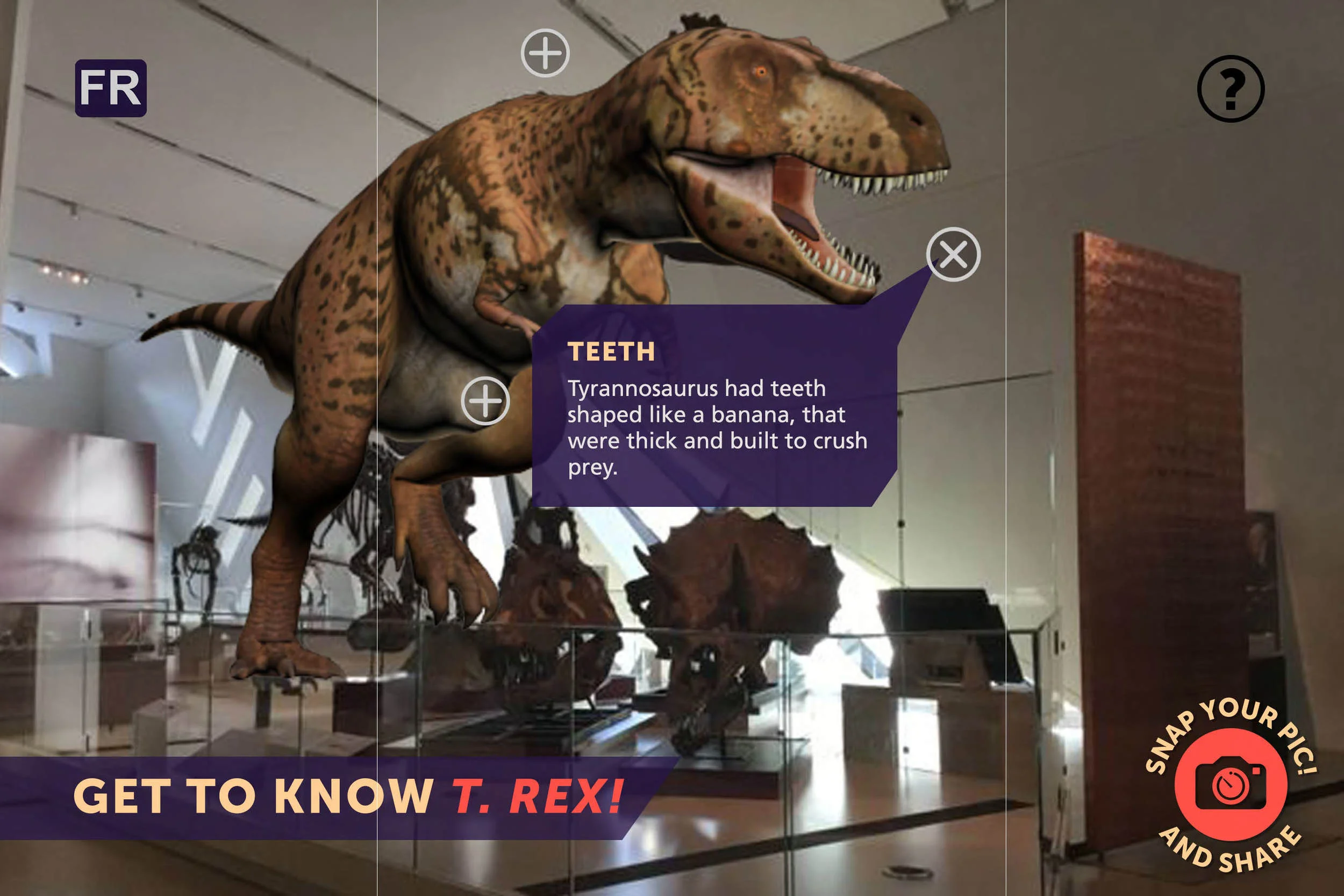 Dino AR_UI_final 2.jpg