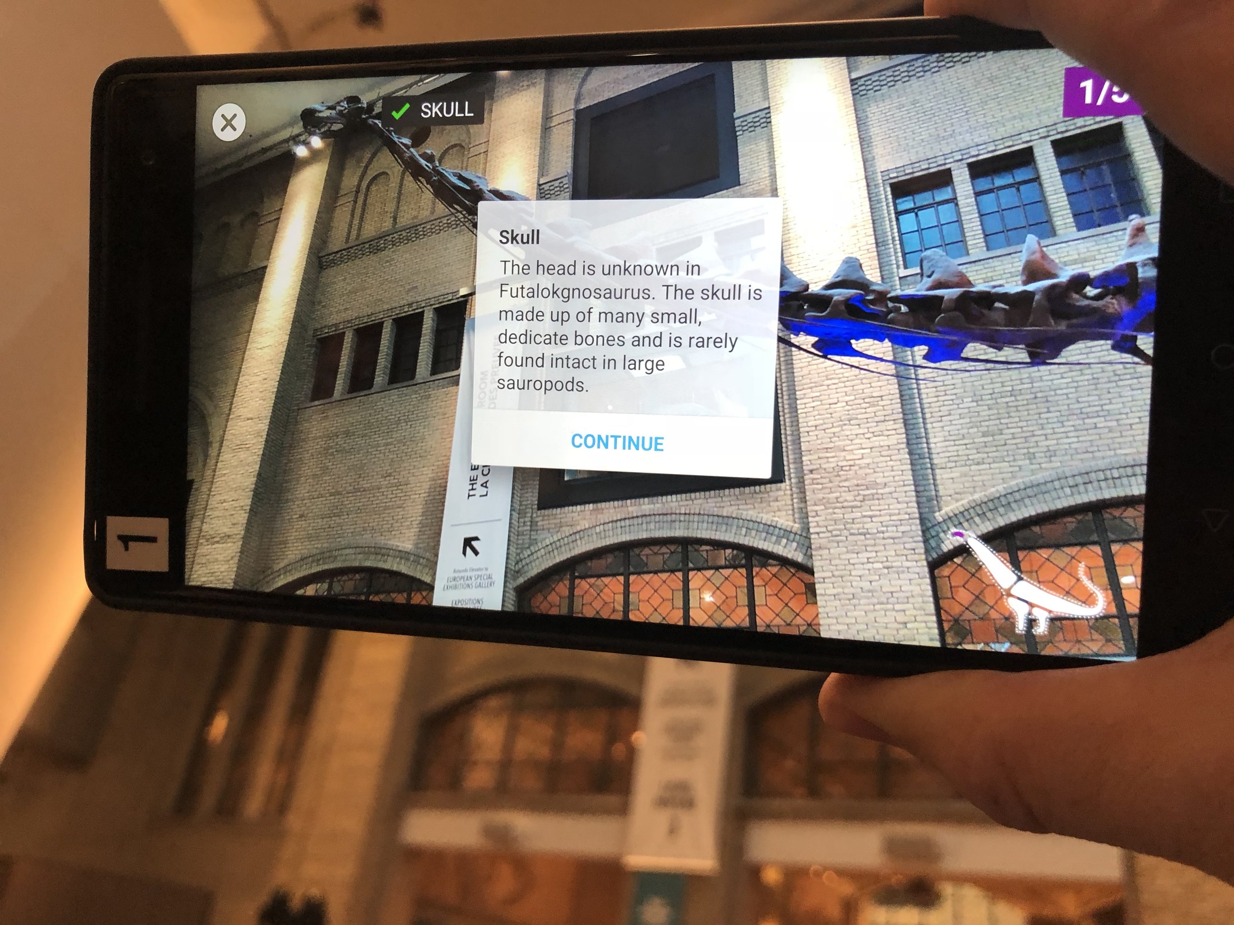 2017-11-03 11.47.11.jpg