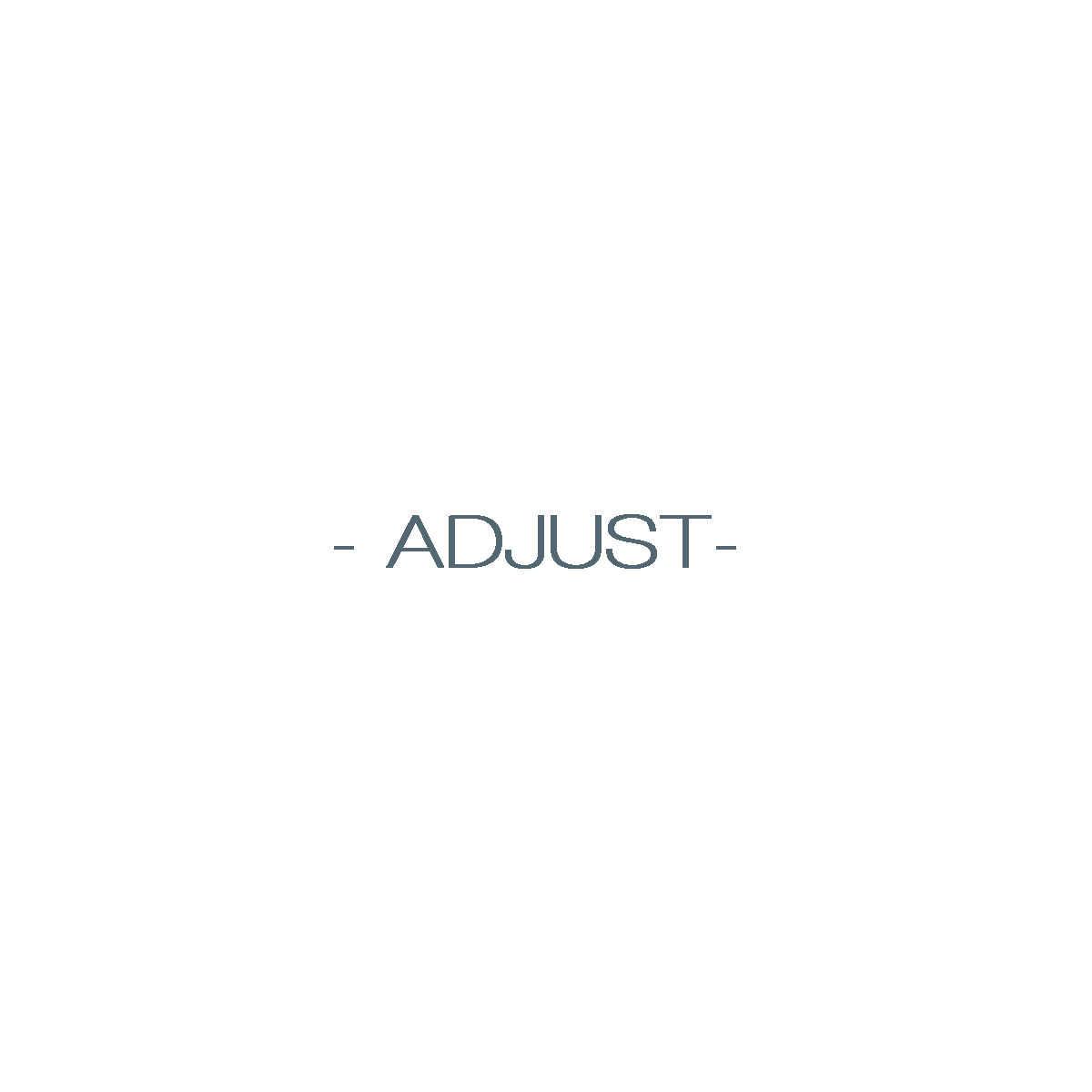 ADJUST.jpg