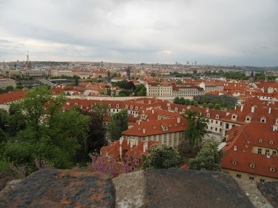 DSC00392.jpg