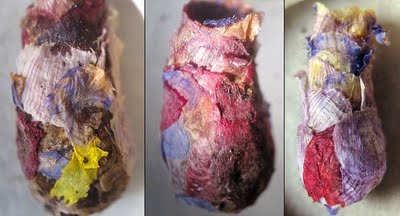 bees-flower-nests-sandwich-three_20051_600x450.jpg
