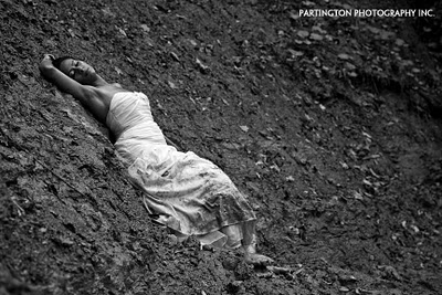trash the dress