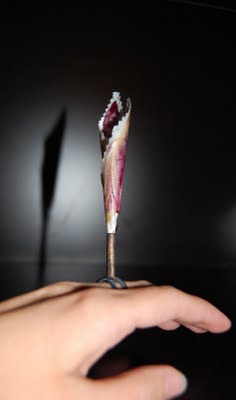 Week2Ring3.jpg