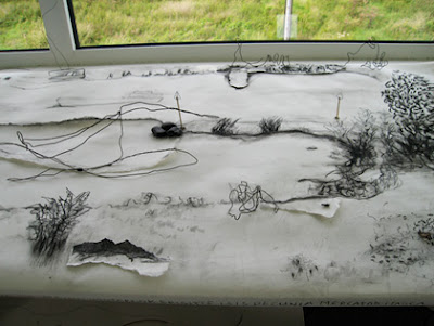 panorama1.jpg
