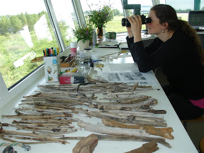 DeRozet_28-07-2011.jpg
