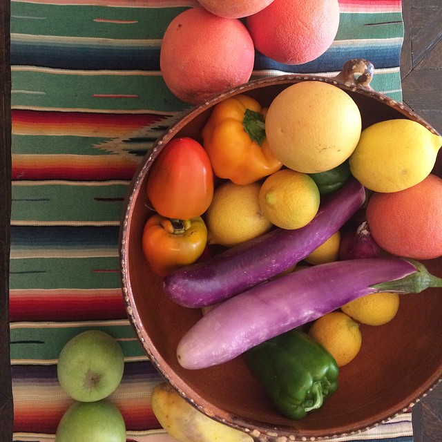 fresh_picked_from_the_garden.jpg