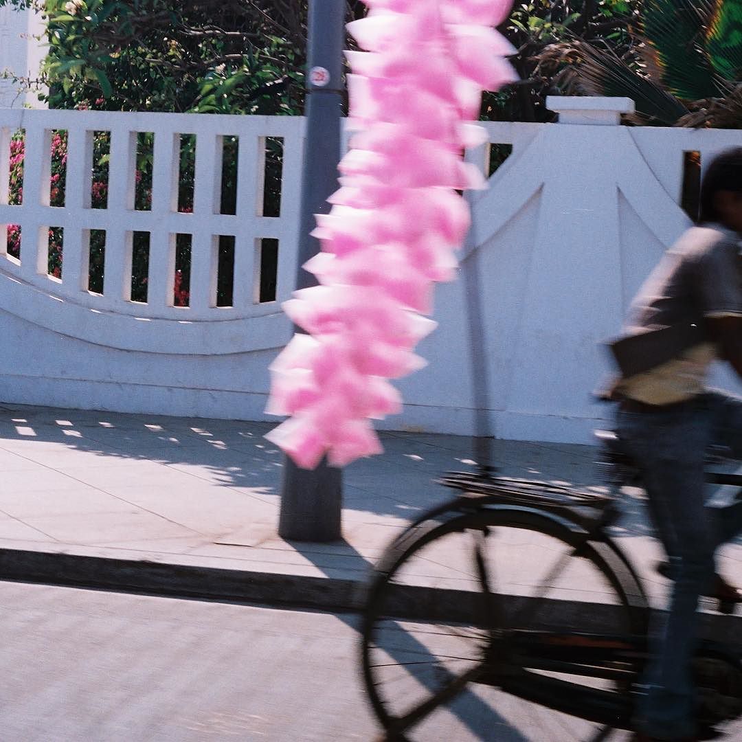 cotton candy pink // last spring in Pondy