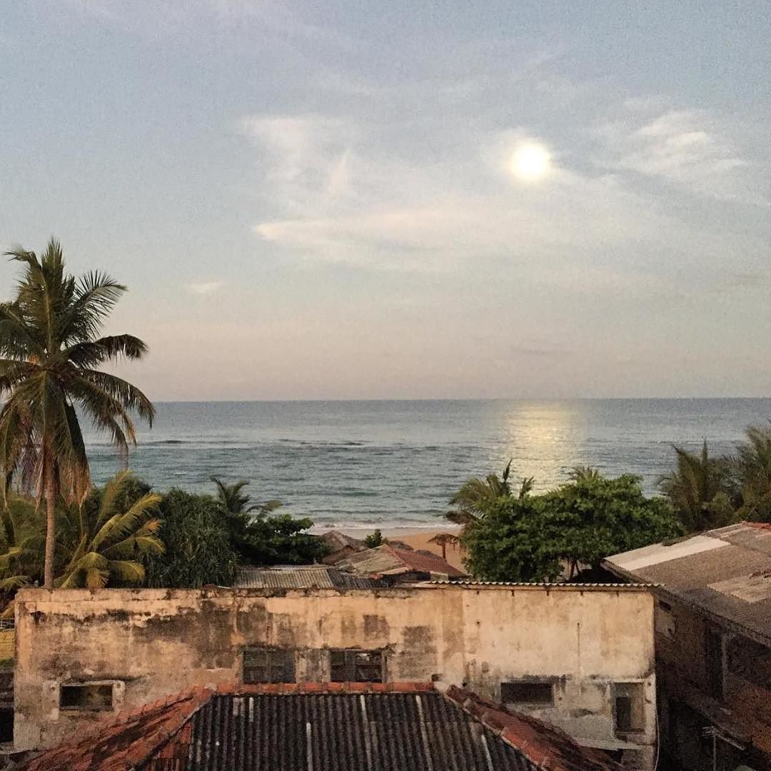Dehiwala beachfront 🌴