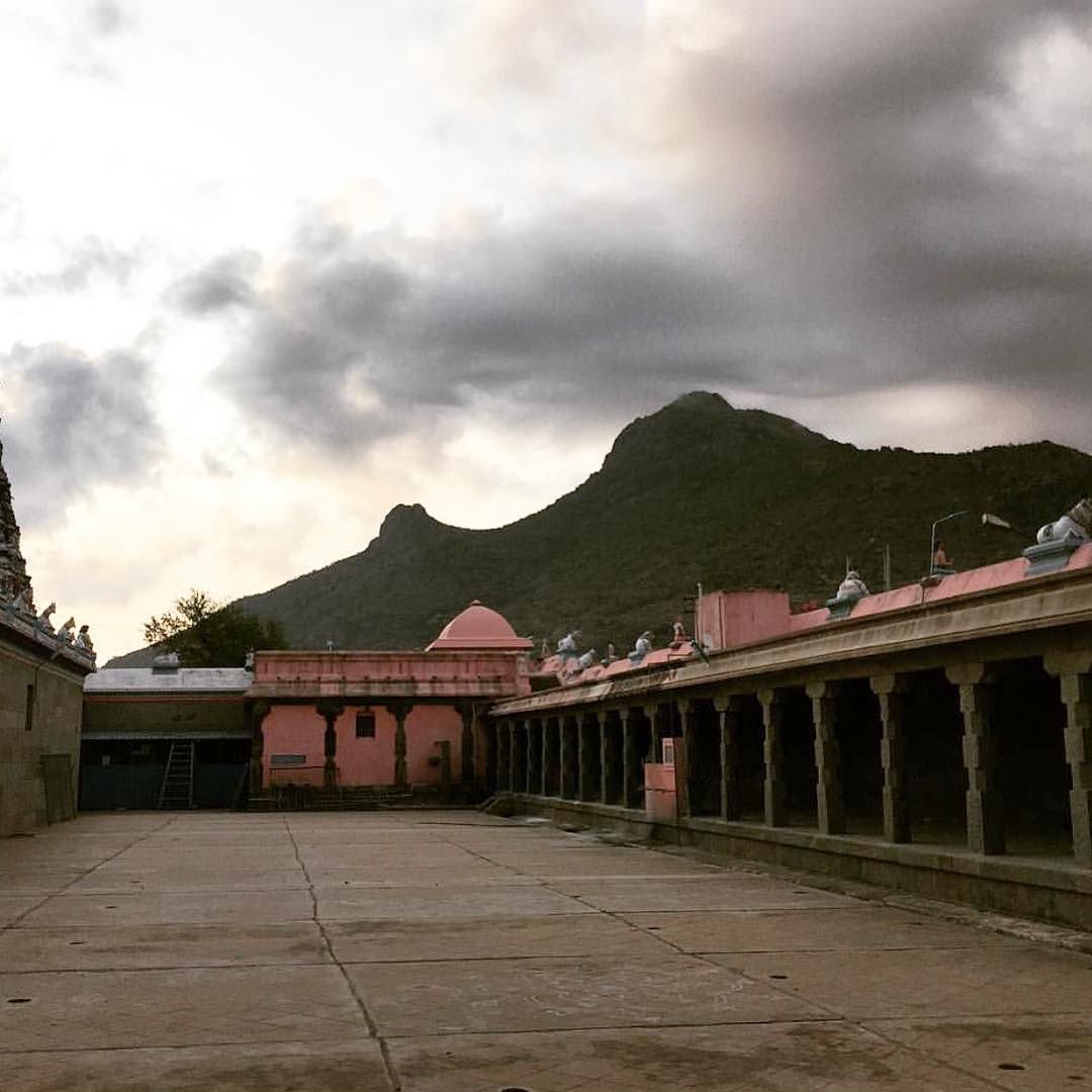 Arunachala /// @tigraxtigra is the new new cistanthe
