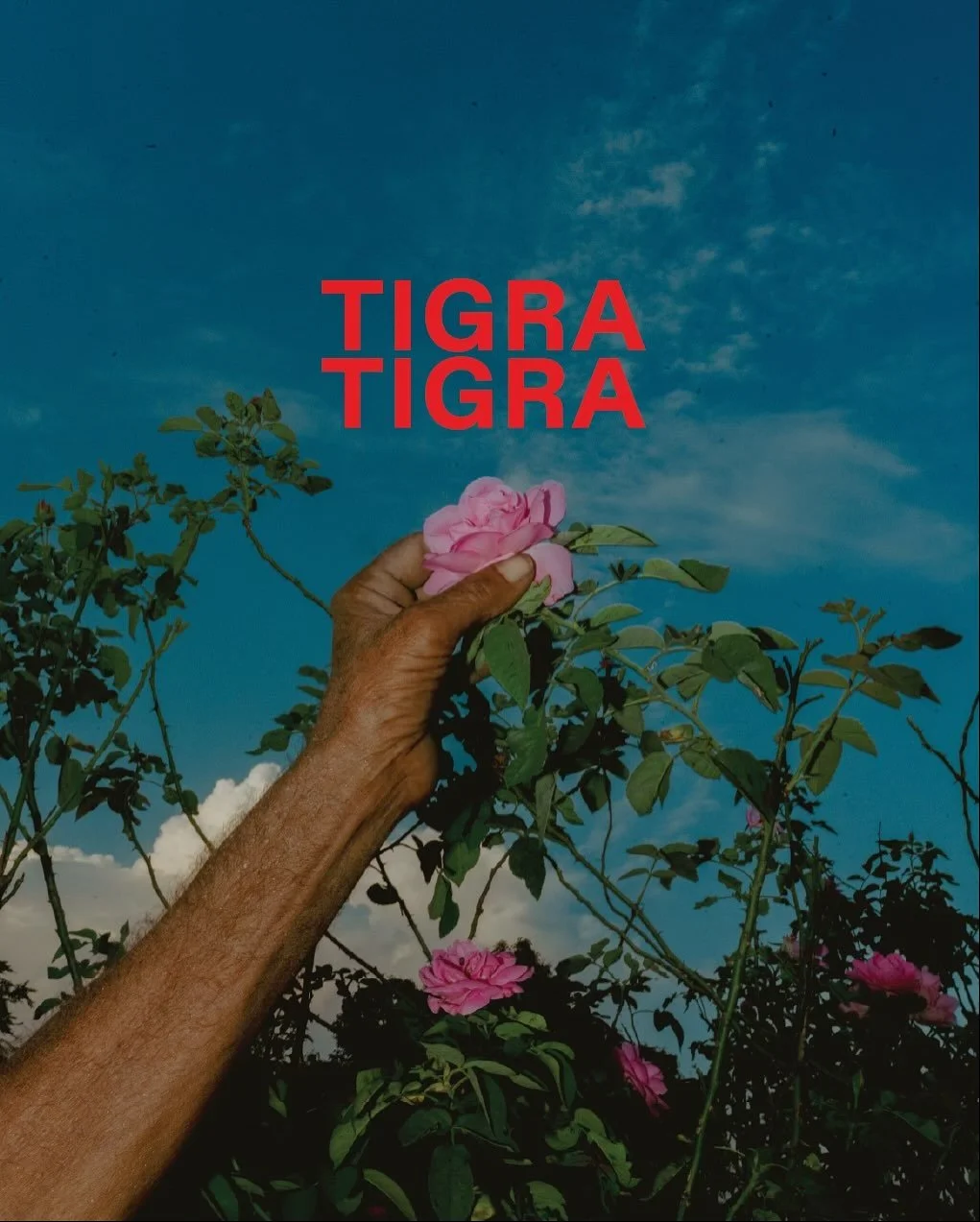 TIGRA TIGRA Ancient Damask Rose Attar
An old-world perfumery 
The medieval northern Indian town of Kannauj, has been crafting oil-based distillation perfumes called ATTAR for several centuries. Unlike modern perfumes, which have alcohol as a carrier,