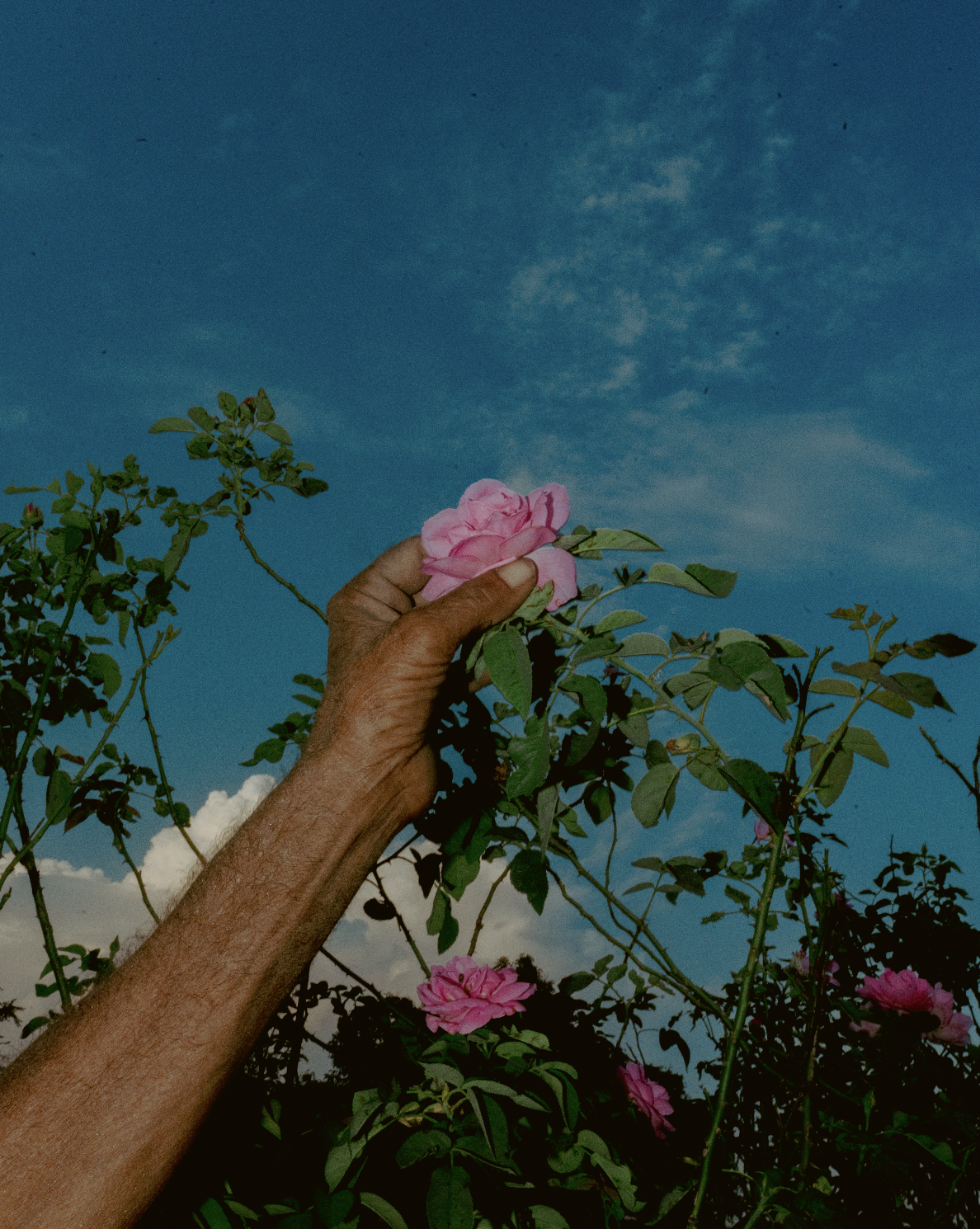 Screenshot 2025-10-24 at 8.24.41 PM.png