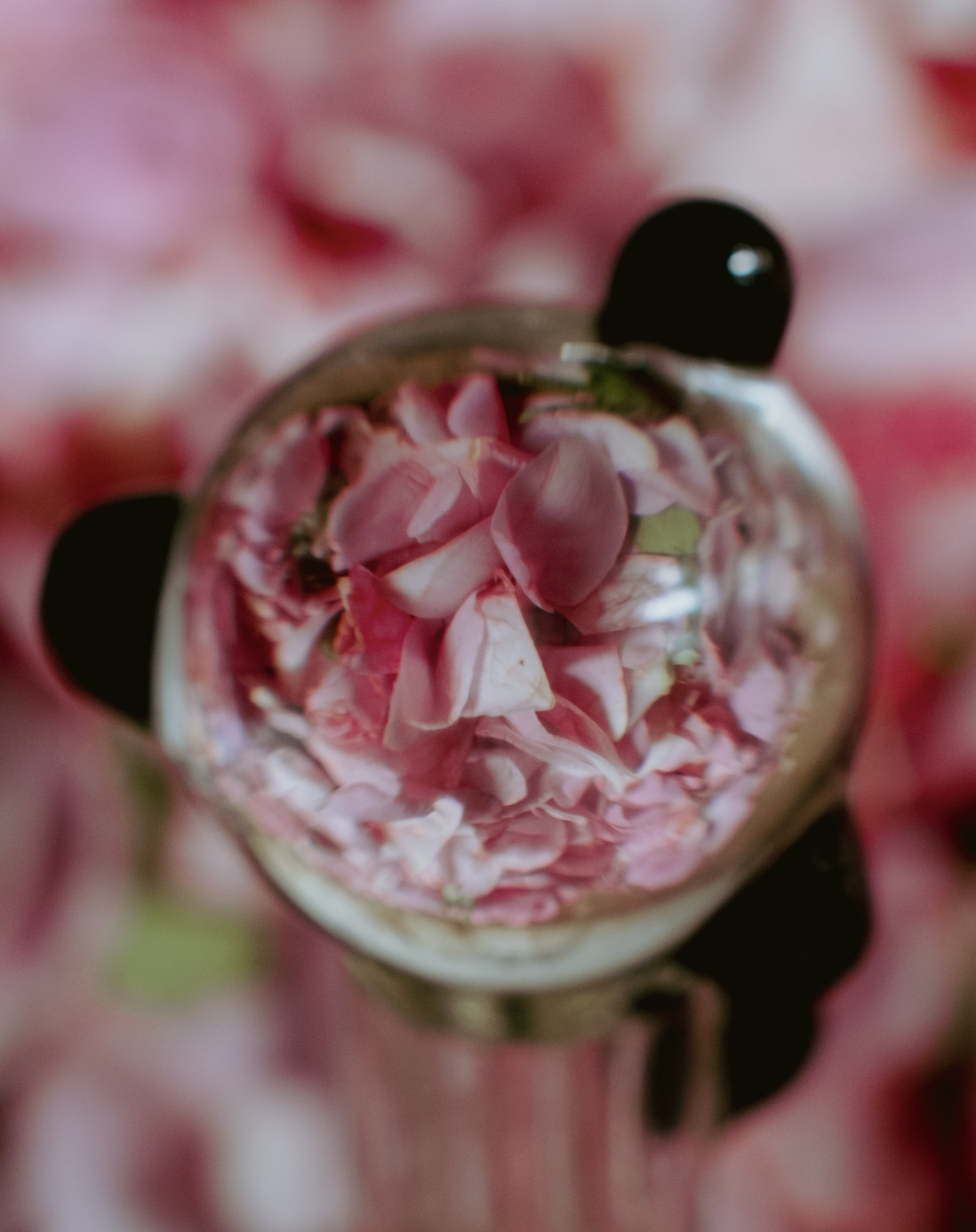 Screenshot 2025-10-24 at 8.24.19 PM.png