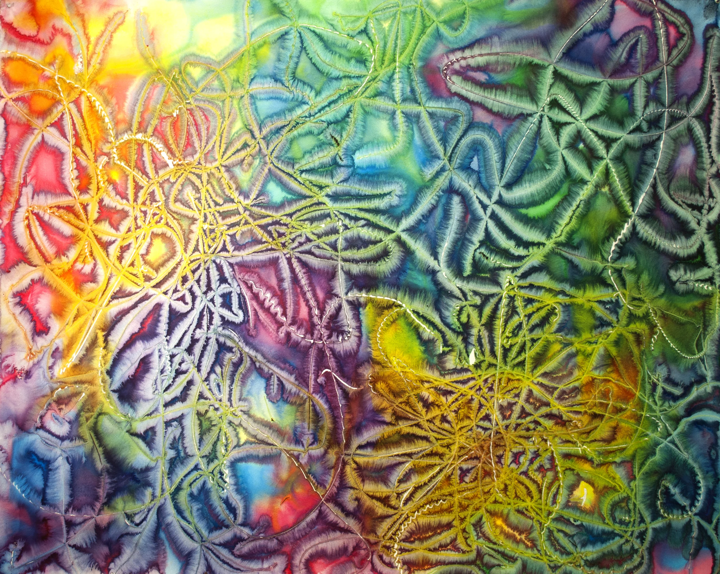 The Garden