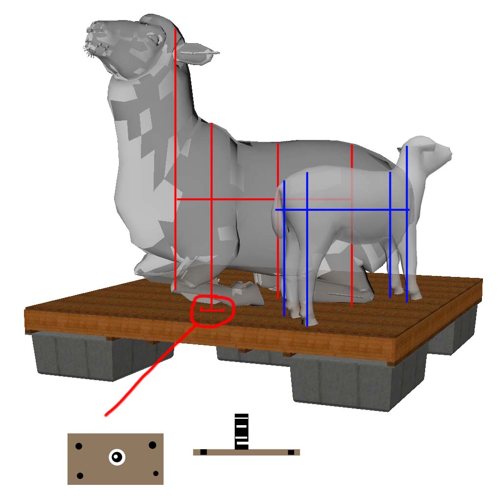 ZelsonHilary_Image_11.jpg