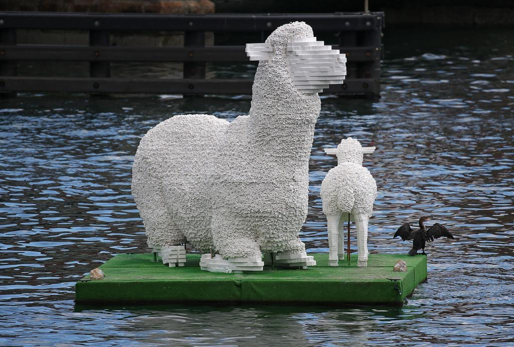 Who Wears Wool