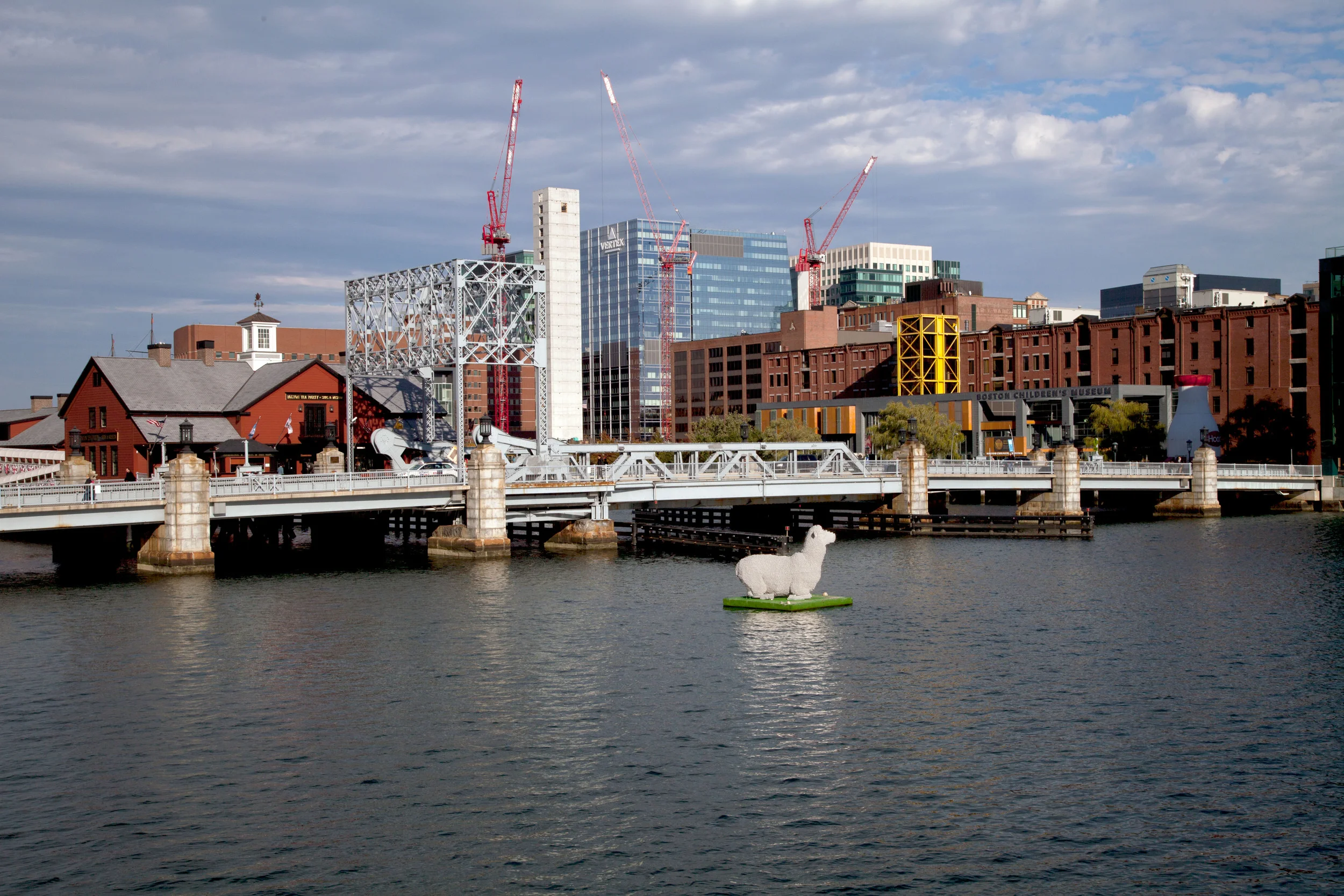 IMG_9002 copy_edit.jpg