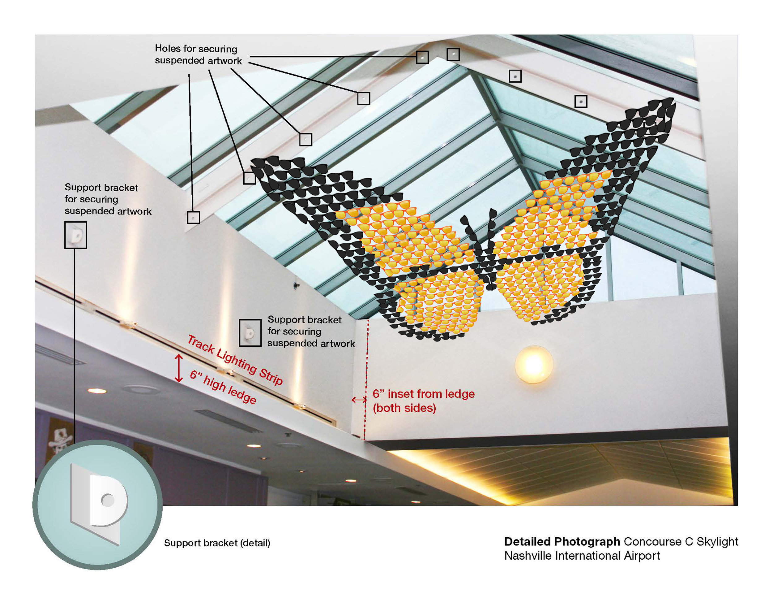 Spectacle Butterfly