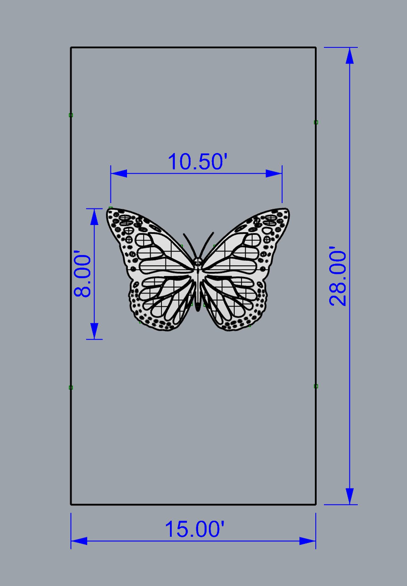 Zelson_Butterfly_Image3.jpg