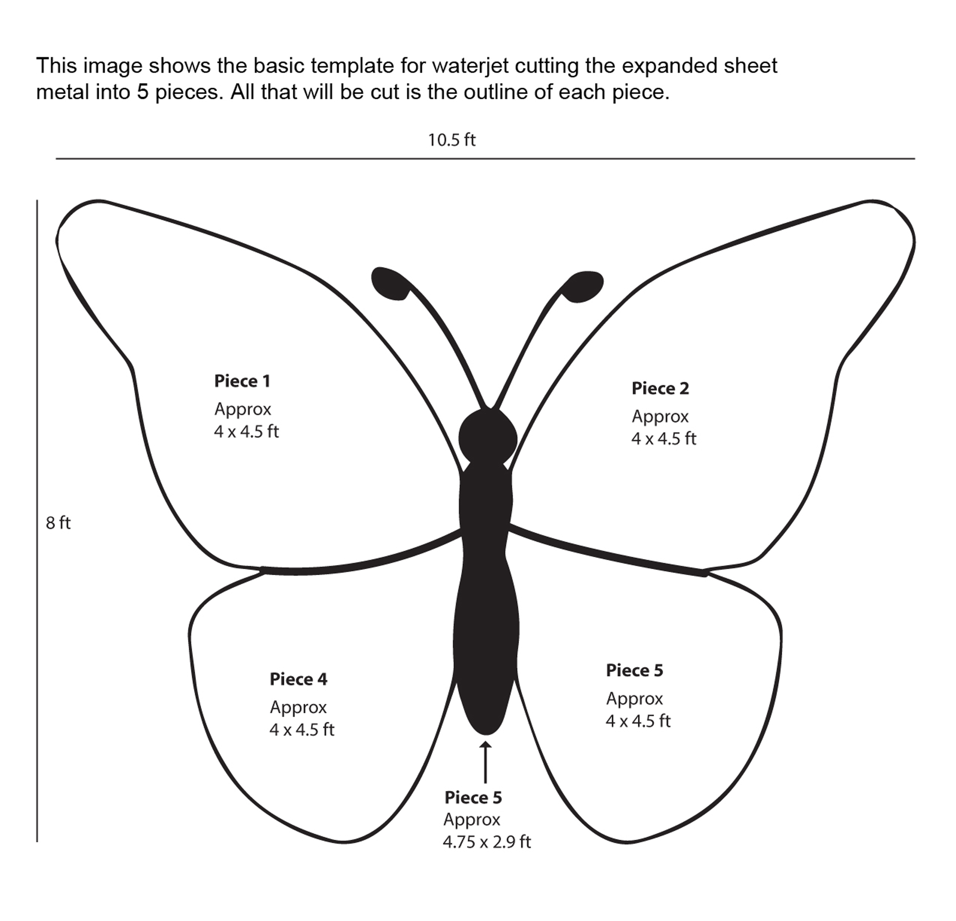 Zelson_Butterfly_Image5.jpg