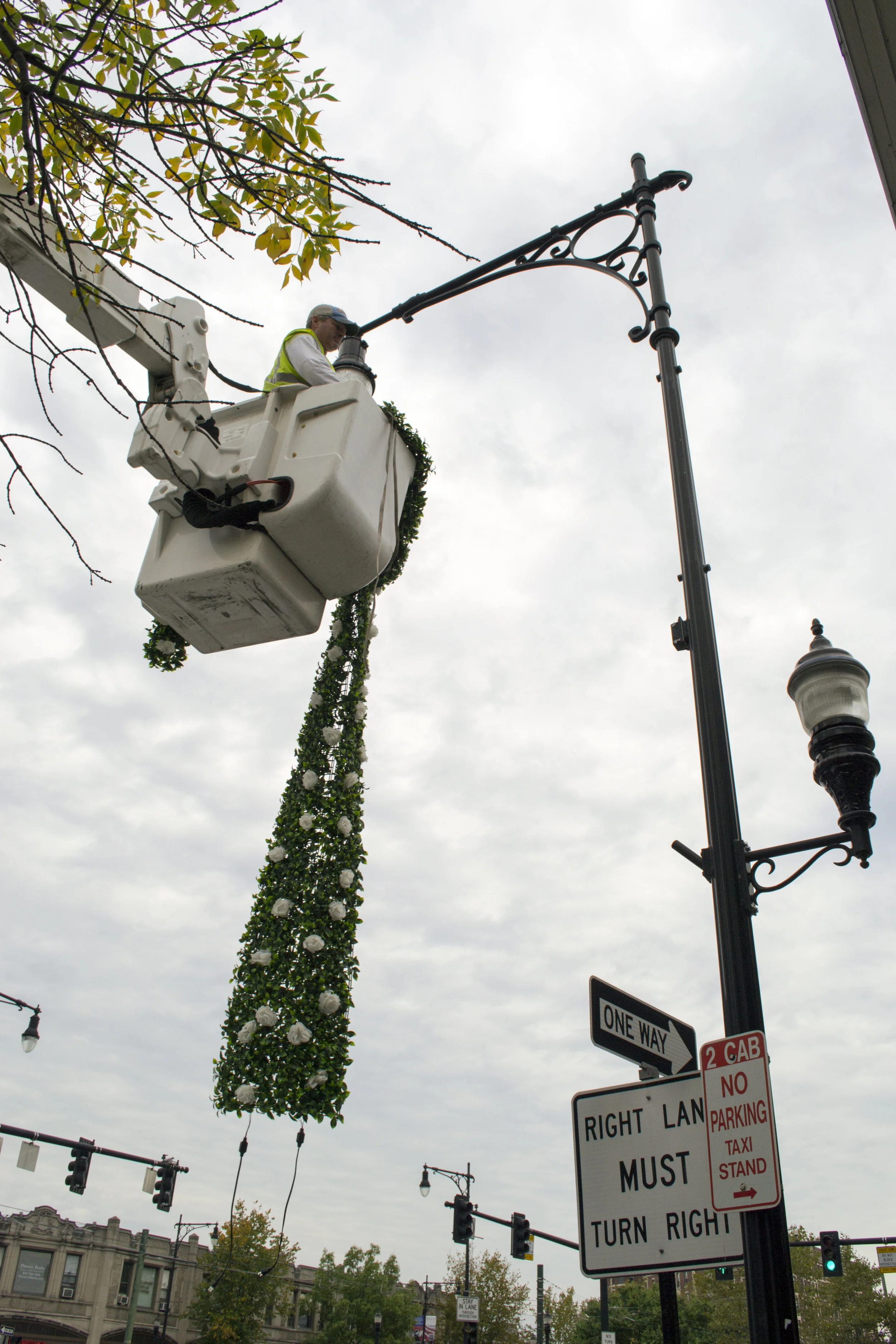 Zelson_WinterBlooms_23.jpg