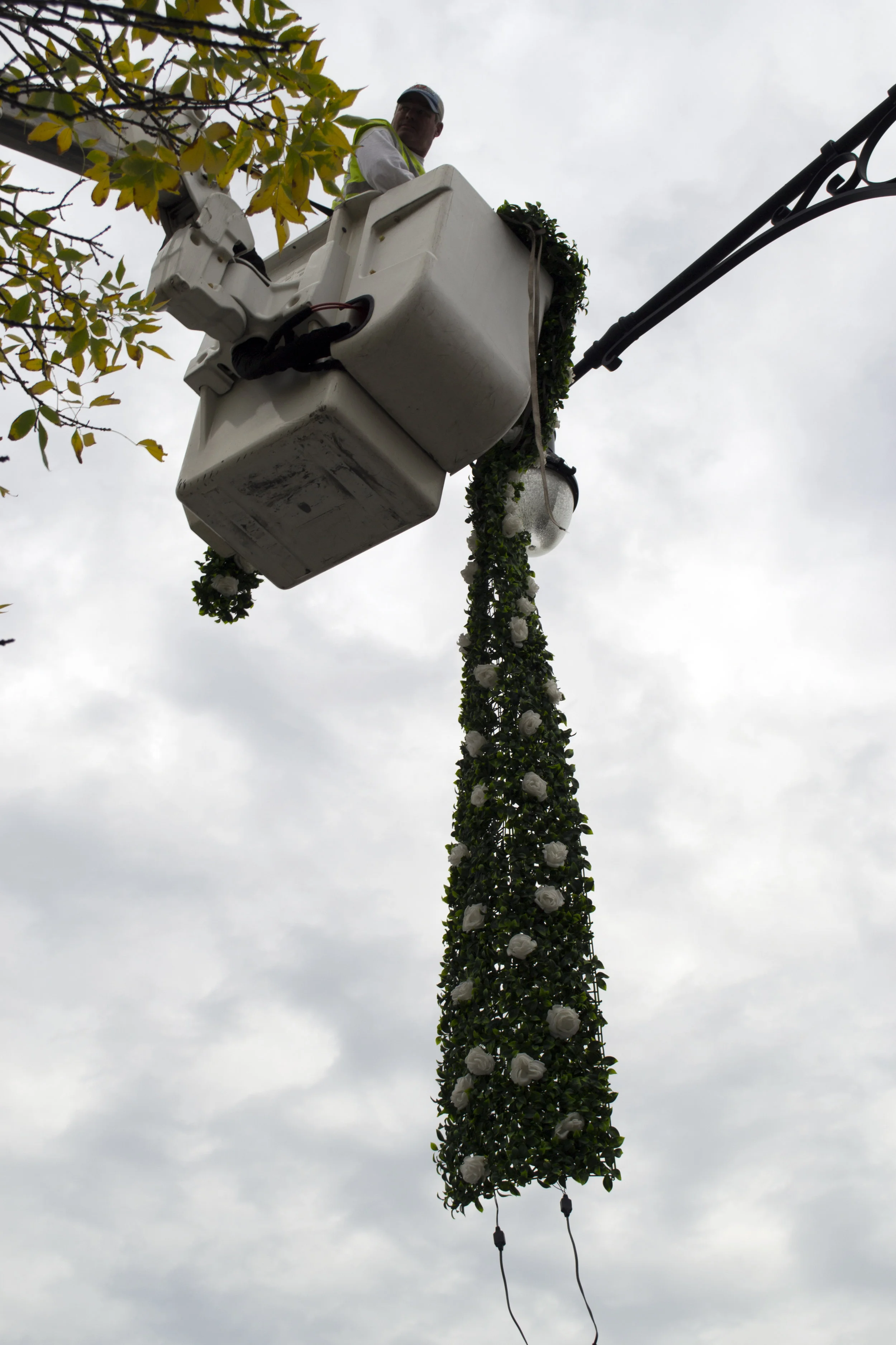 Zelson_WinterBlooms_24.jpg