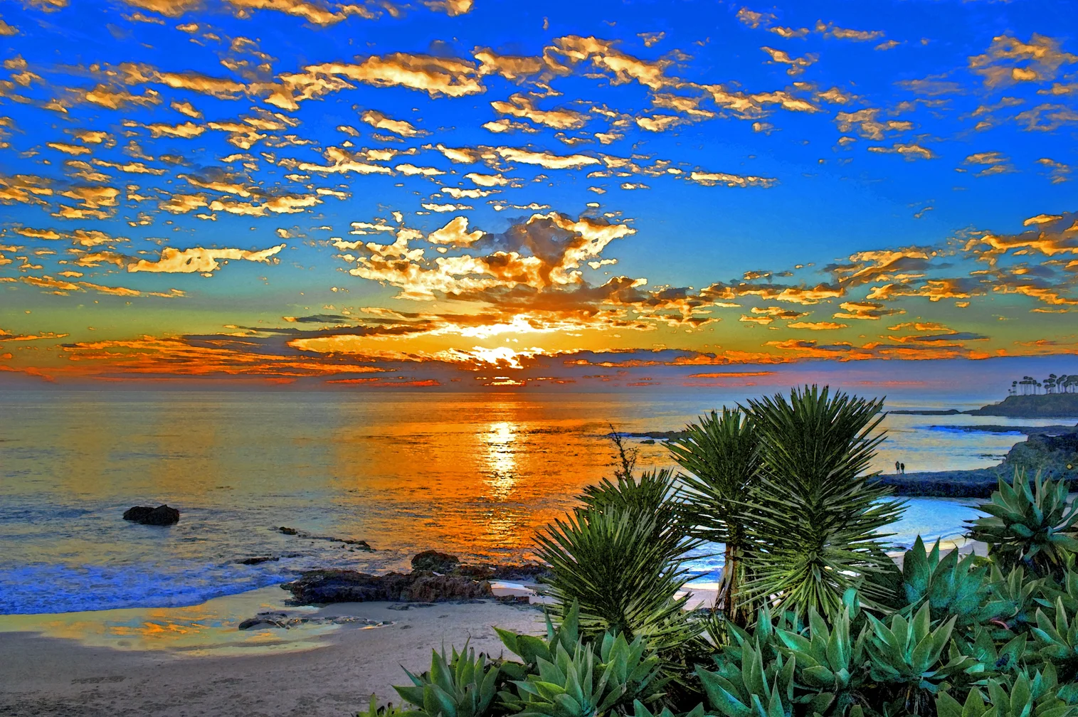 _DSC2989_tonemapped.jpg