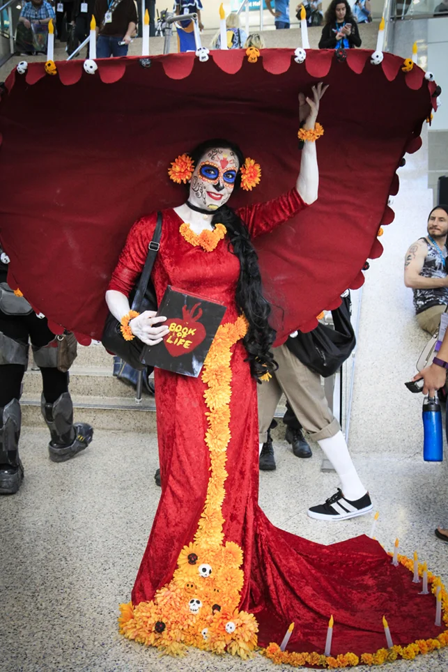 _MG_6505_1_2.jpg
