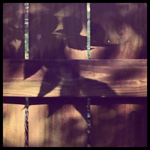 backyard shadow